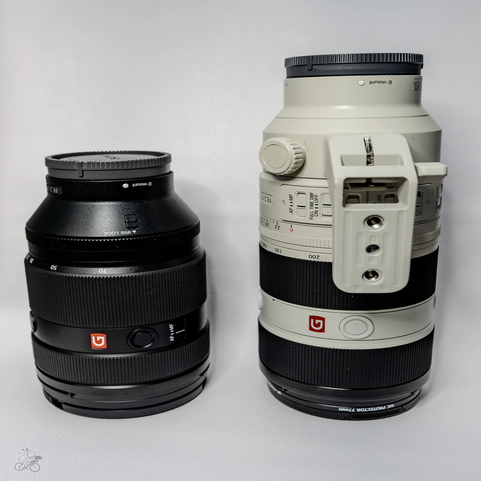 実機レビュー】Sony FE 28-70mm F2 GM、レンタルで分かったポイント 