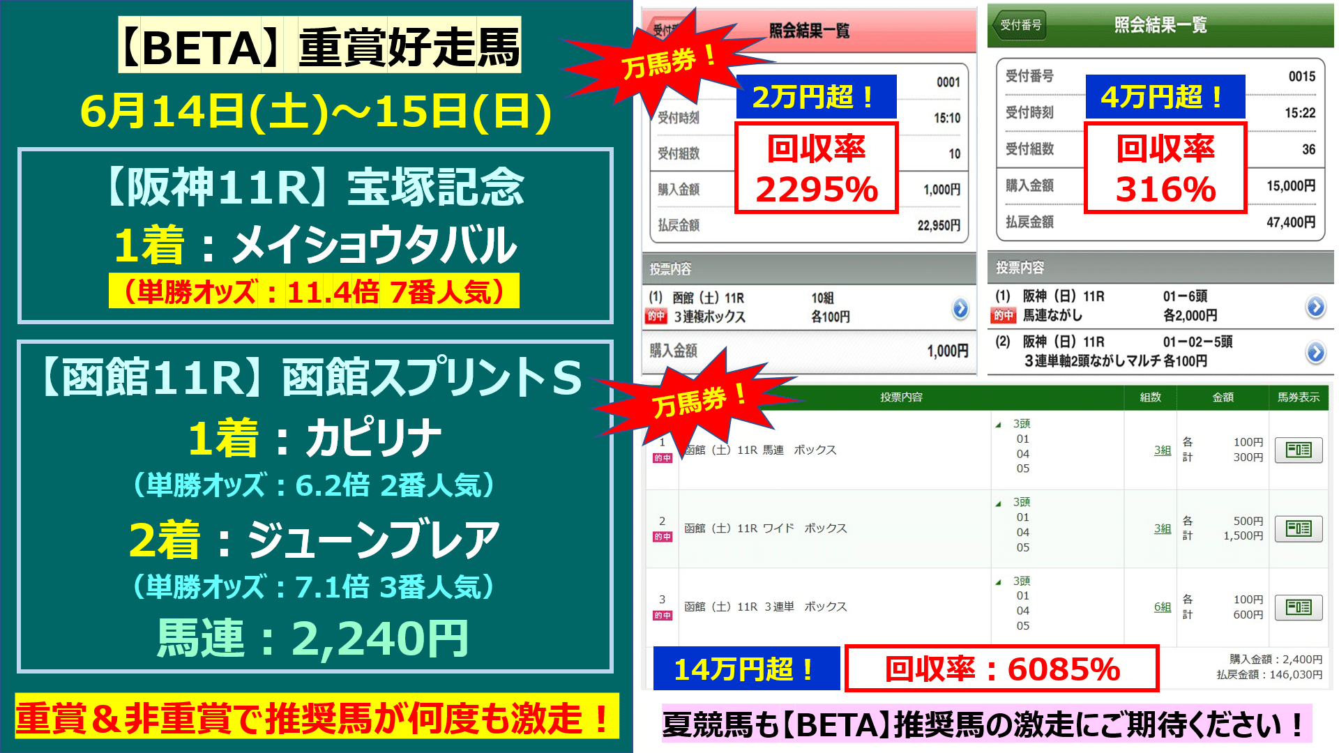 2冠牝馬ベガ単勝馬券 Amazon.co.jp: ディープインパクト 的中馬券 G1 菊花賞 G1 天皇