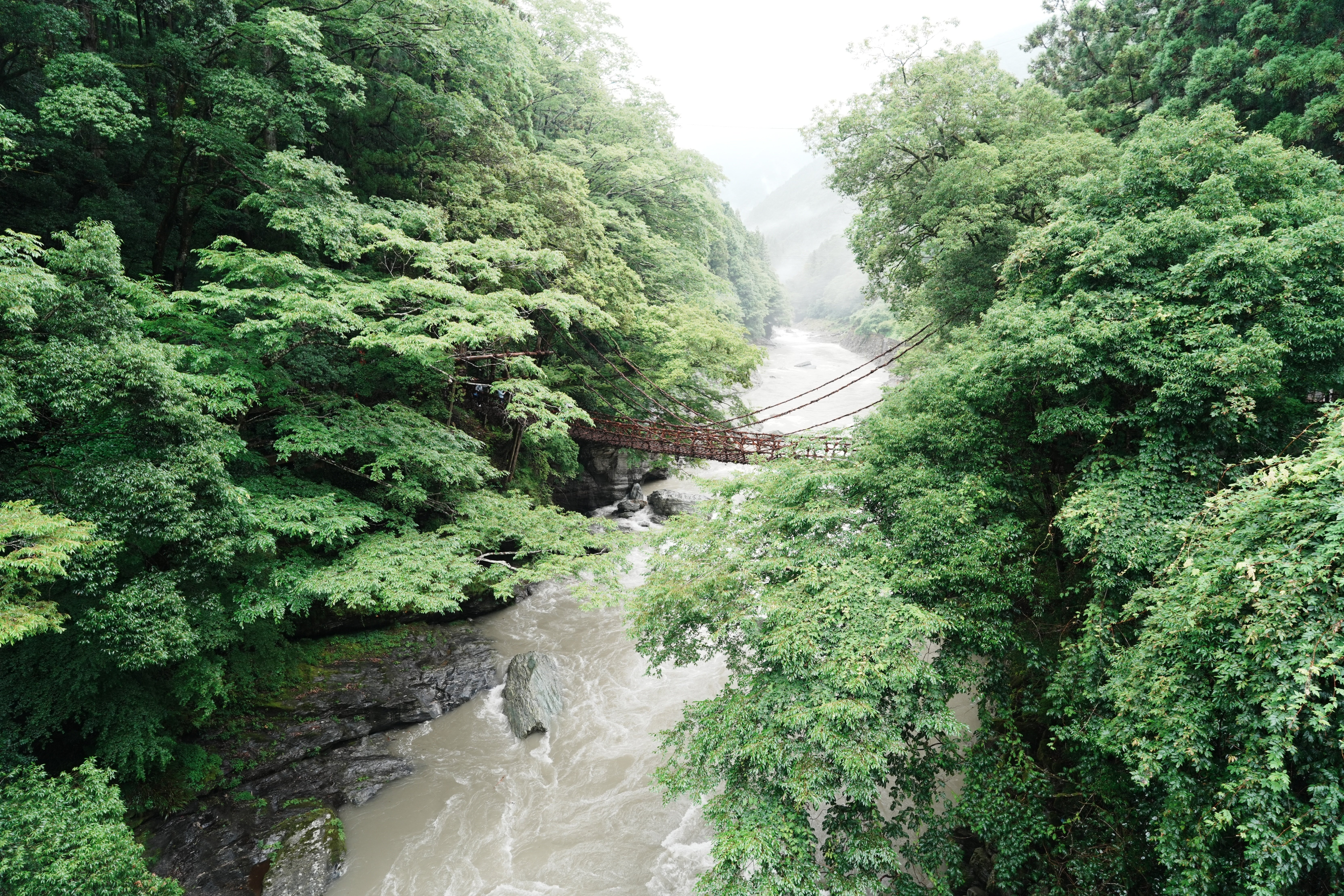 徳島🌀大歩危旅行：豪雨の中、原付バイクで一人旅してみた - Day1｜Key