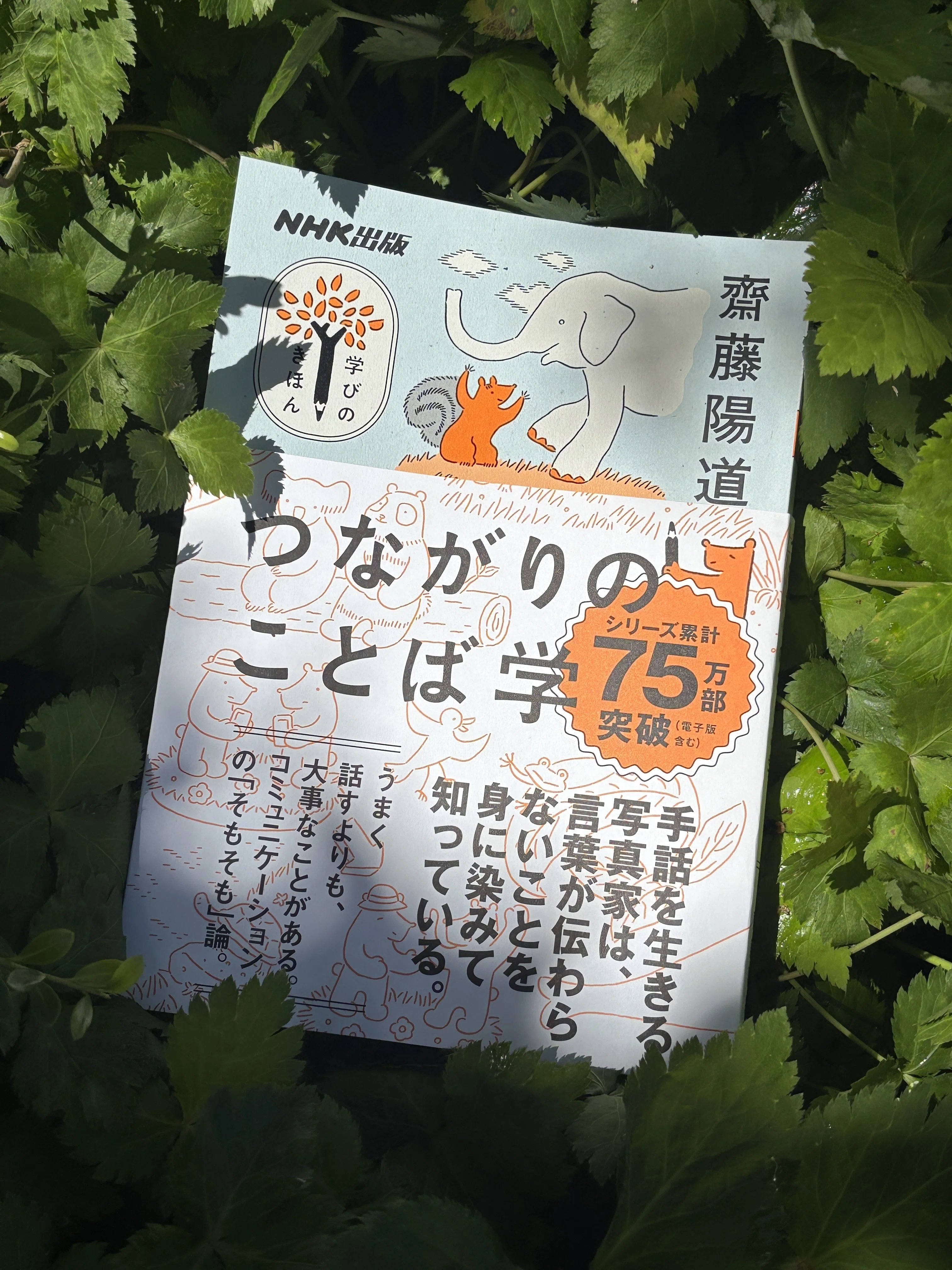 新刊『つながりのことば学』NHK出版、刊行です。｜齋藤陽道