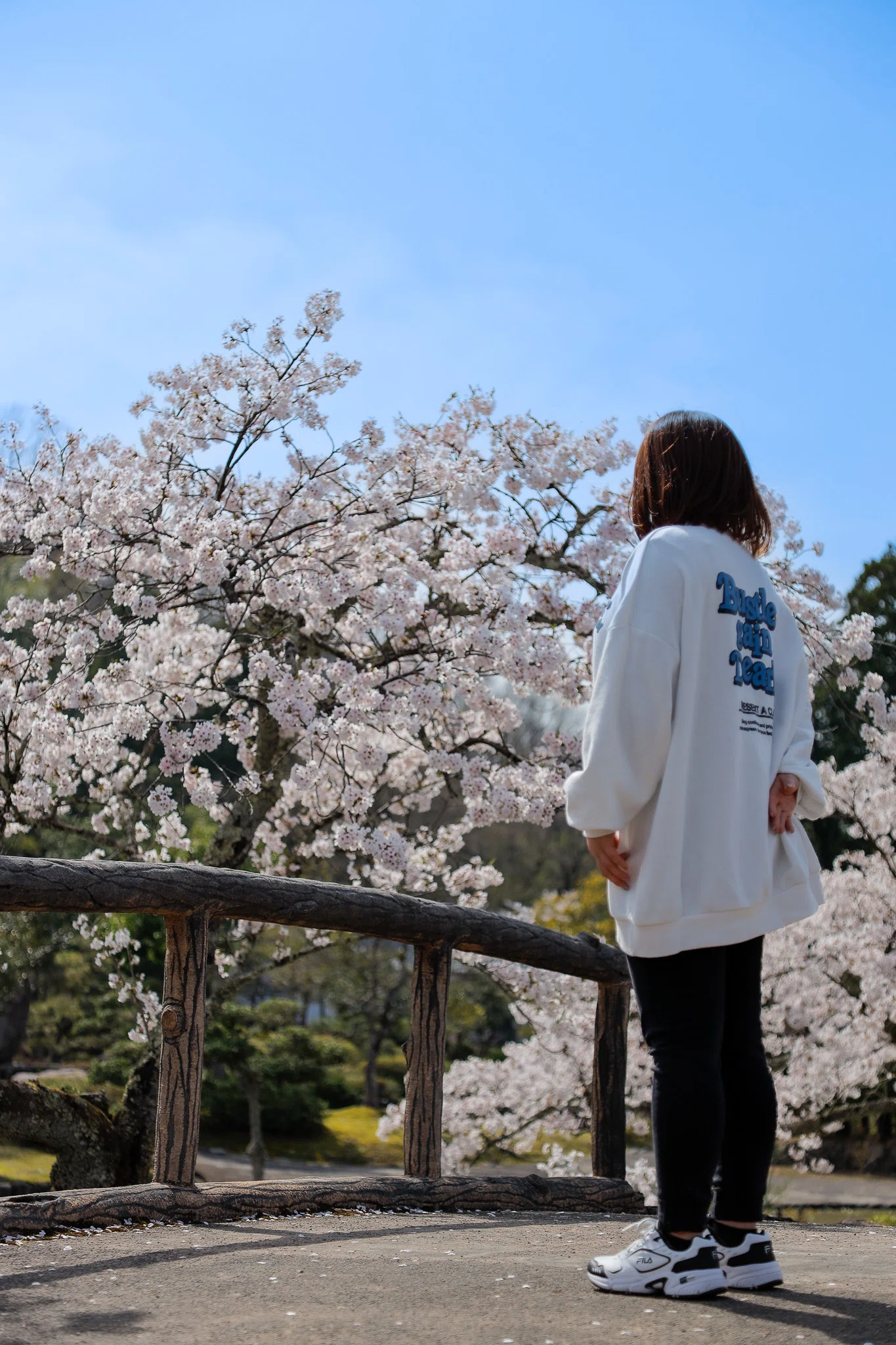 レンズ紹介】これ1本でほぼほぼ対応！5万前後で買えるCanon EF24