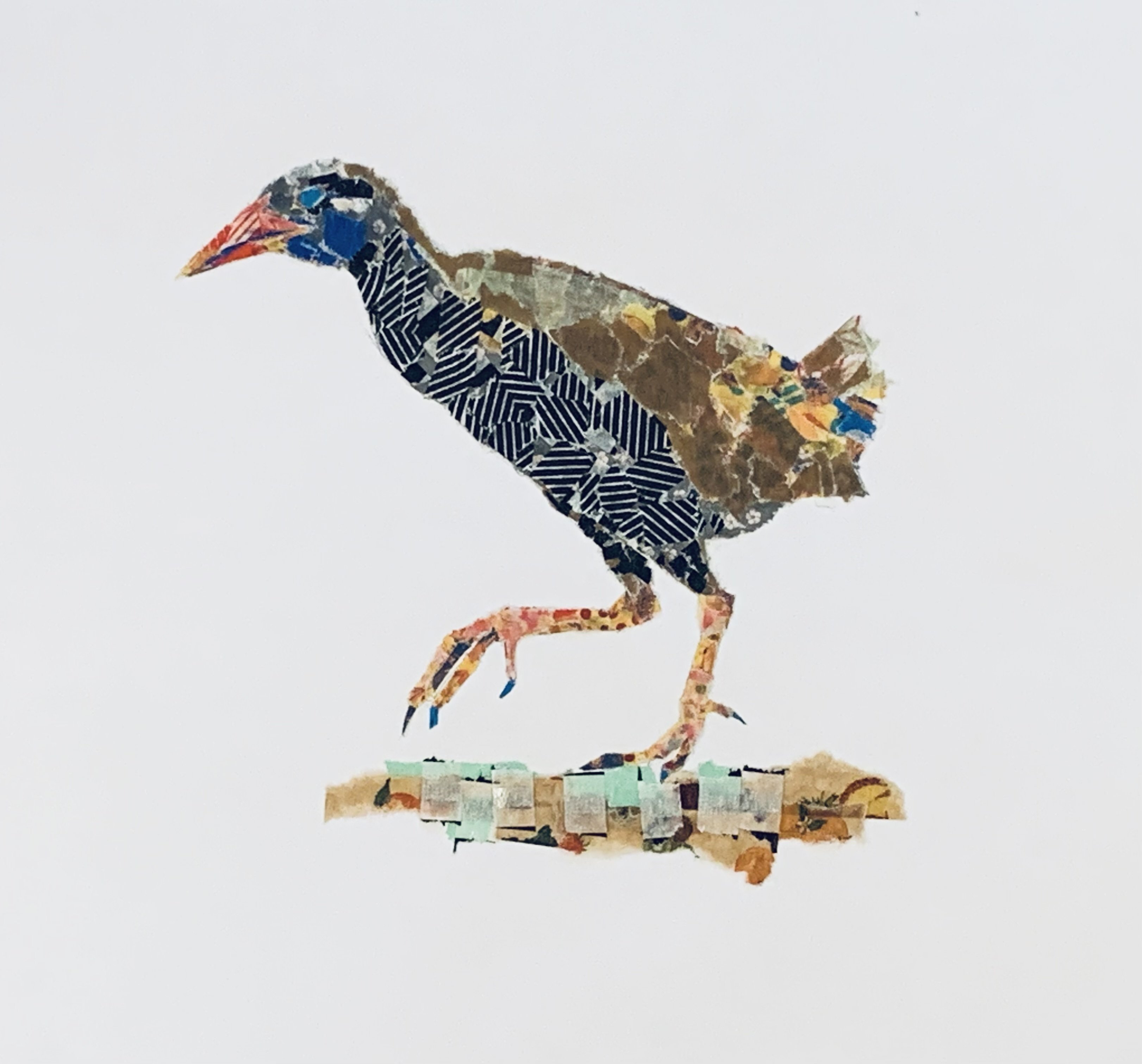 ヤンバルクイナ ちぎり絵｜hico