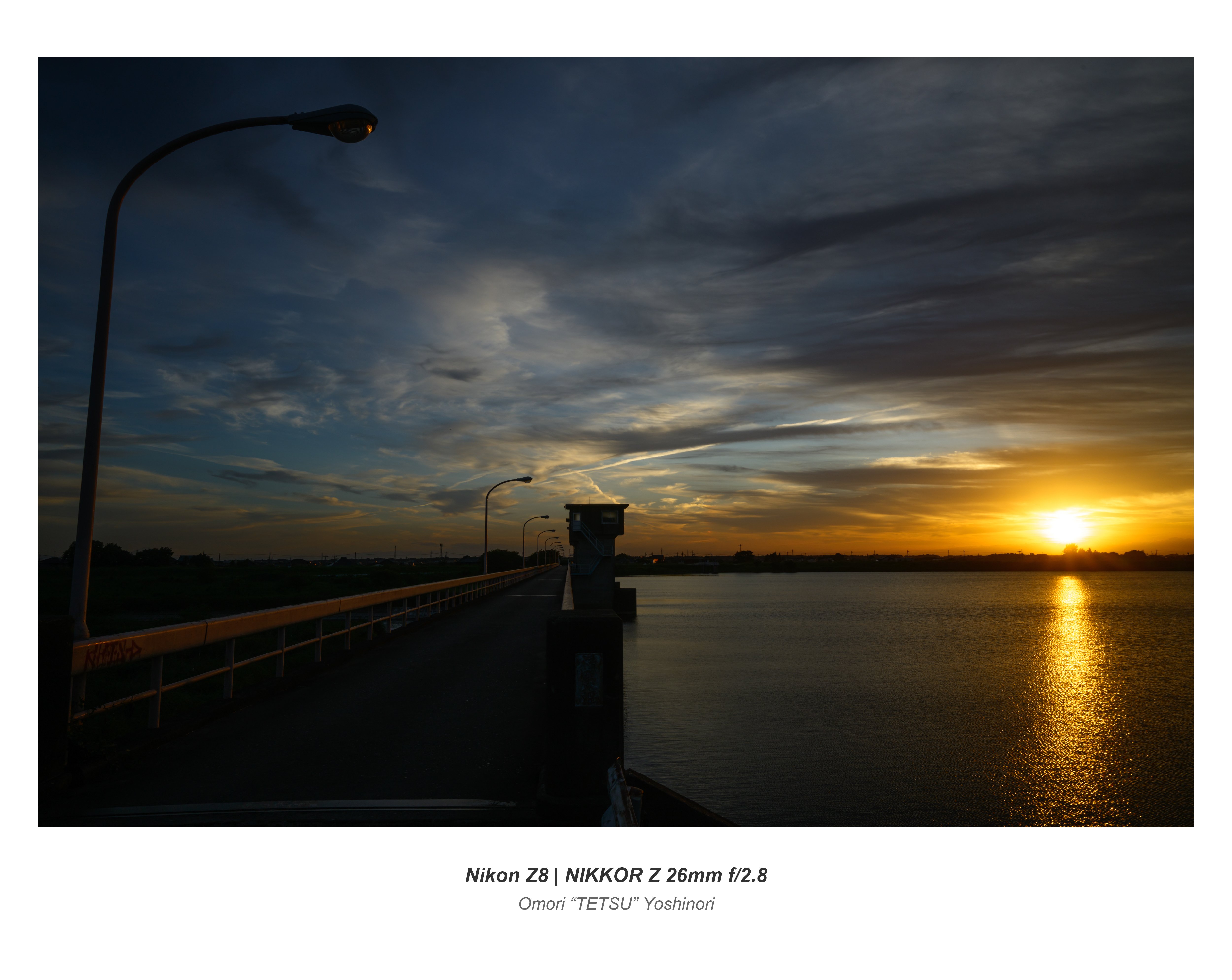 原画「夏の夕方の曇り空の下の公園」F8・油彩画 原画「夏の夕方の曇り空の下の公園」F8・油彩画 - 絵画