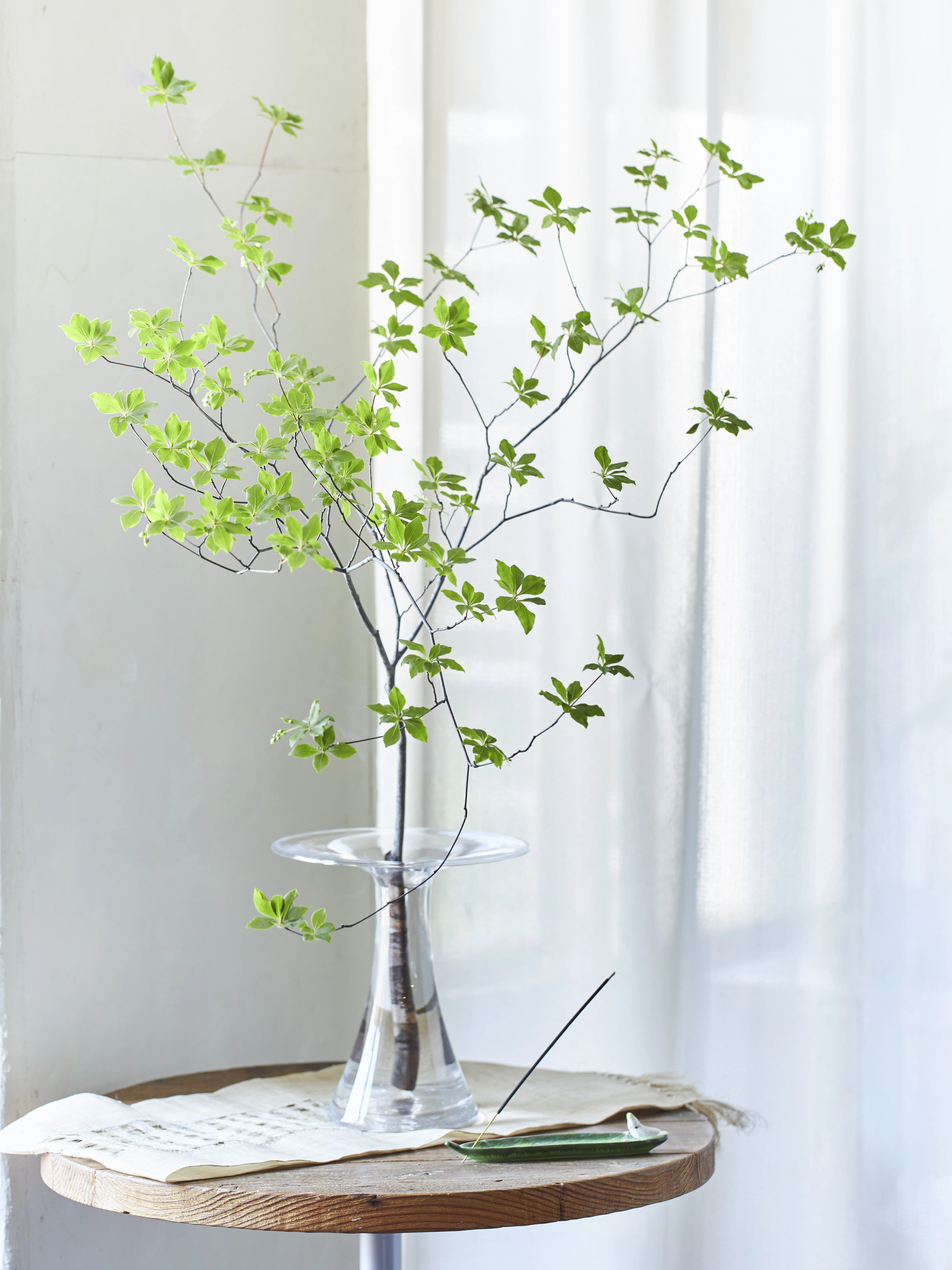 7 Recommended Styling Ideas for Branches and Greenery to Decorate