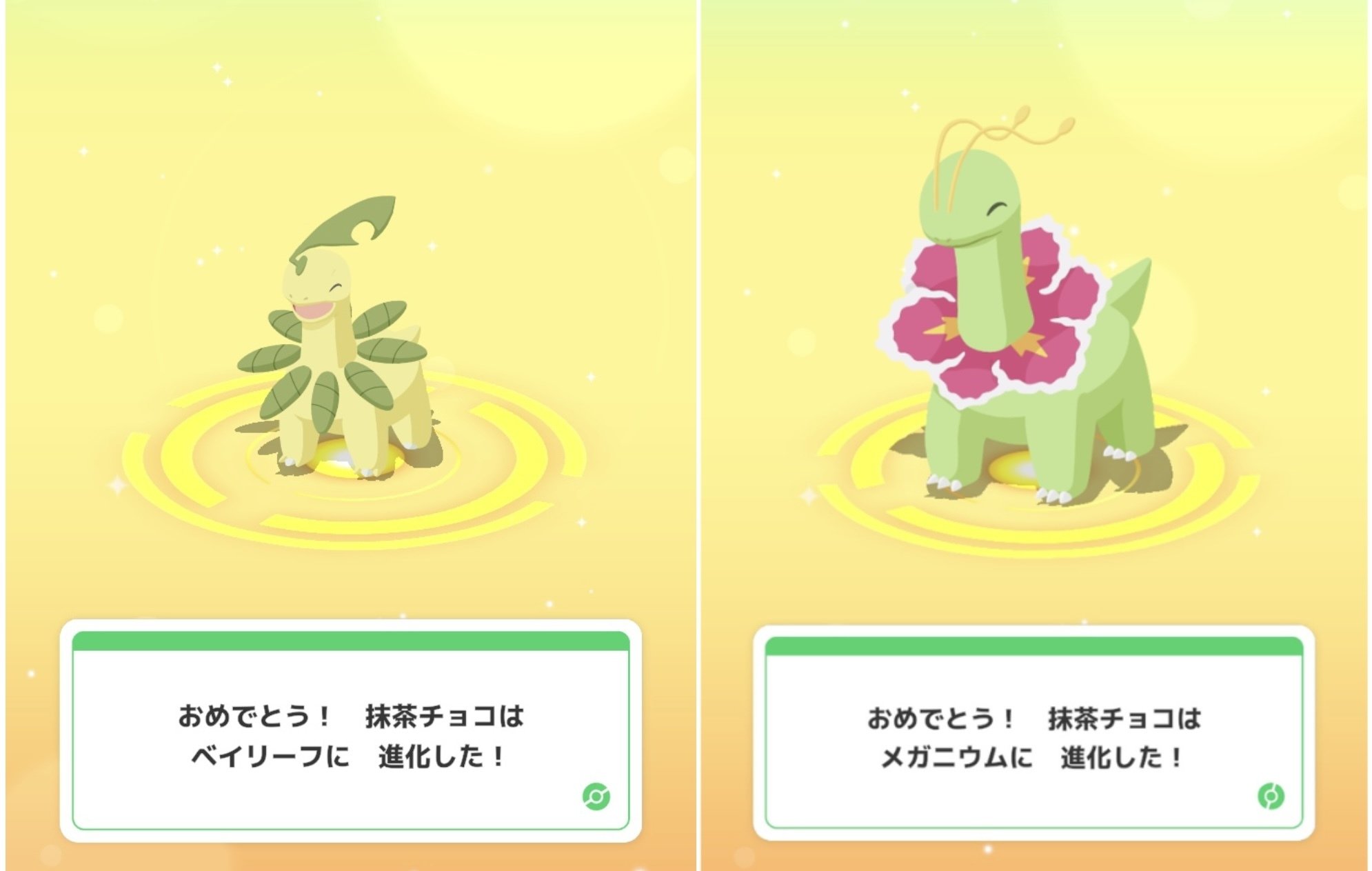 2回目ポケスリ♯27】チコリータ厳選終了と「まっしろミント」について