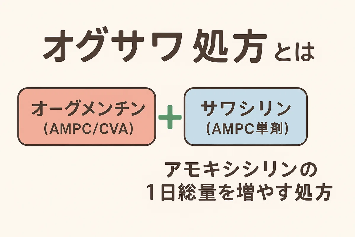 オグサワ処方 肺炎 – オグサワ処方 長期投与 _ 1ウイルス感染症には抗菌薬は使用しない – VOMWW