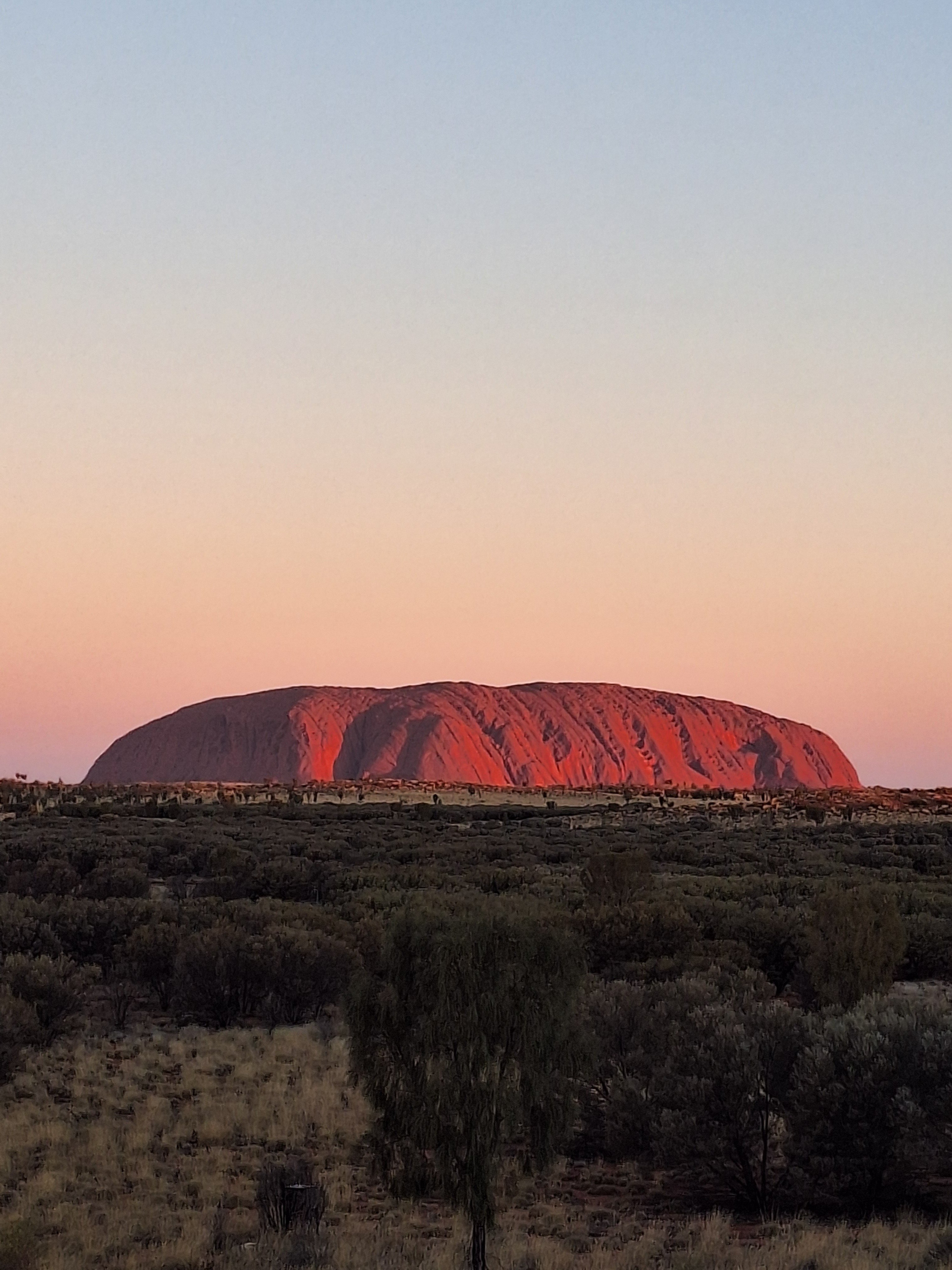世界遺産探訪：🇦🇺 ウルル：過去最高額、聖地への旅｜𝐊𝐄𝐍