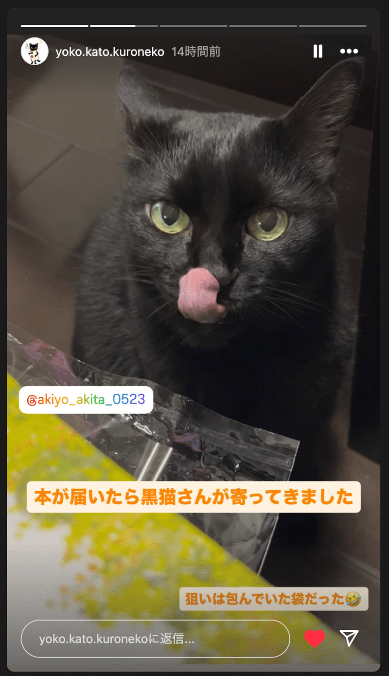ZINEのご感想】「読むと元気と勇気が湧いてくる本」｜akiyo