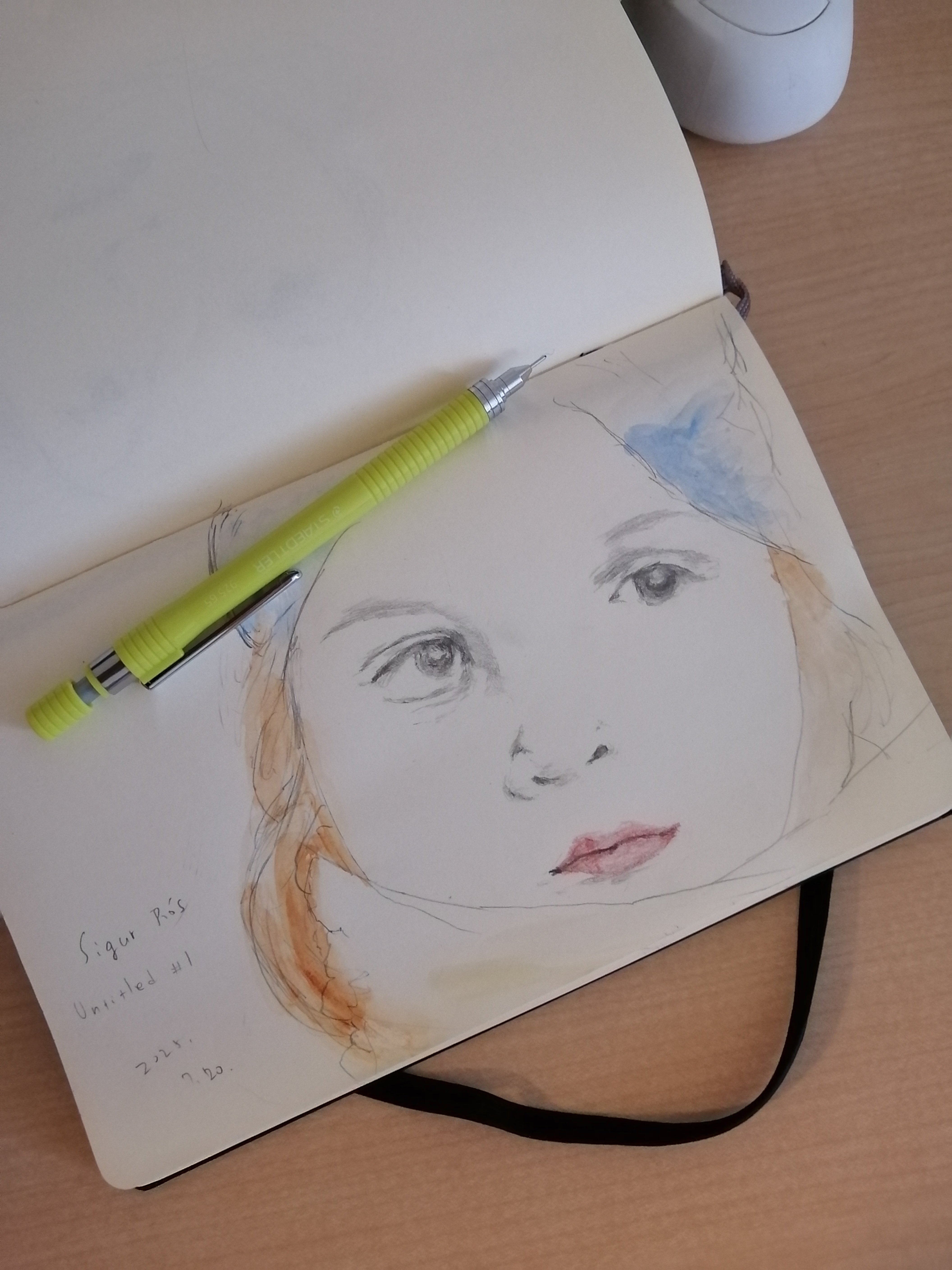 MOLESKINE プレーンノート 水彩色鉛筆付き 楽天市場】【メール便可 2冊