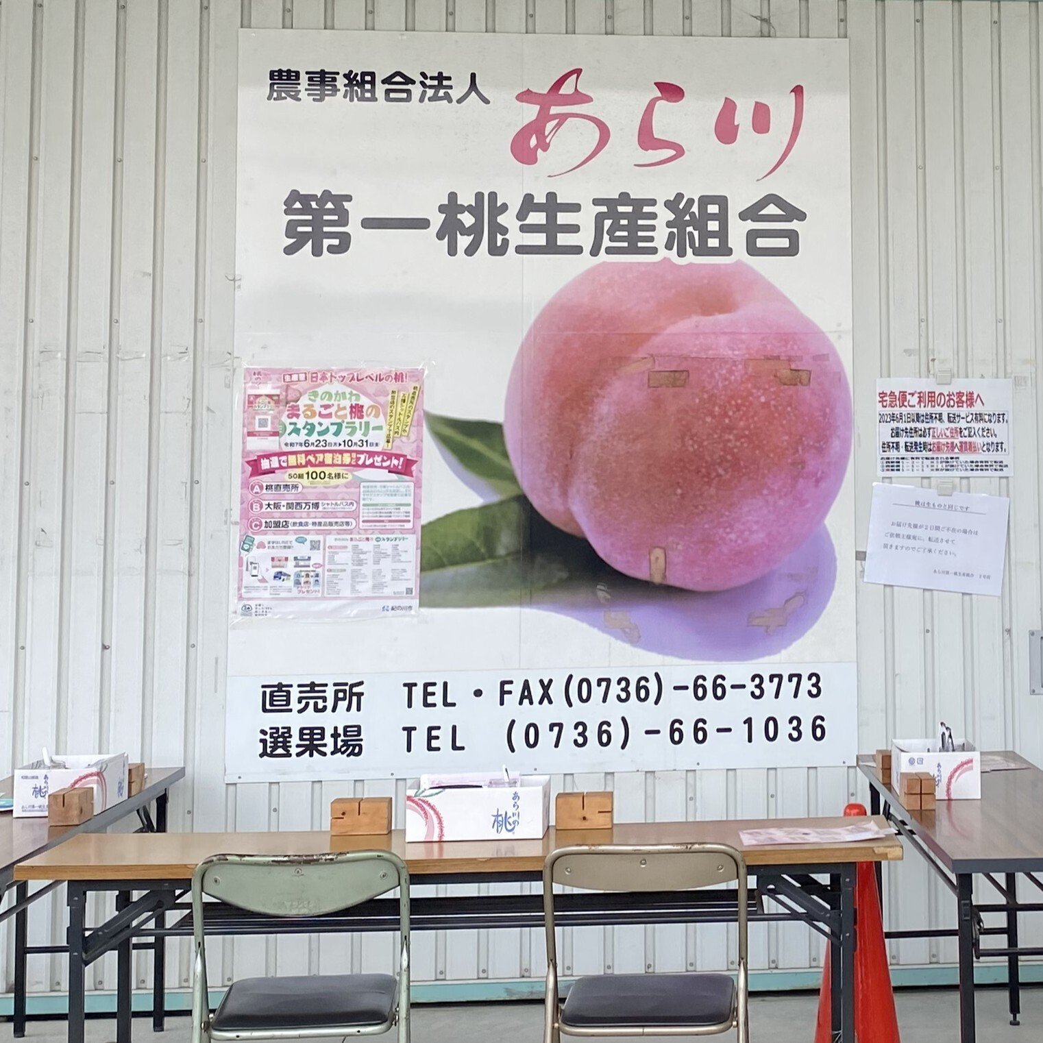 7月20日 「桃源郷・あら川の桃」に想う｜高坂正澄