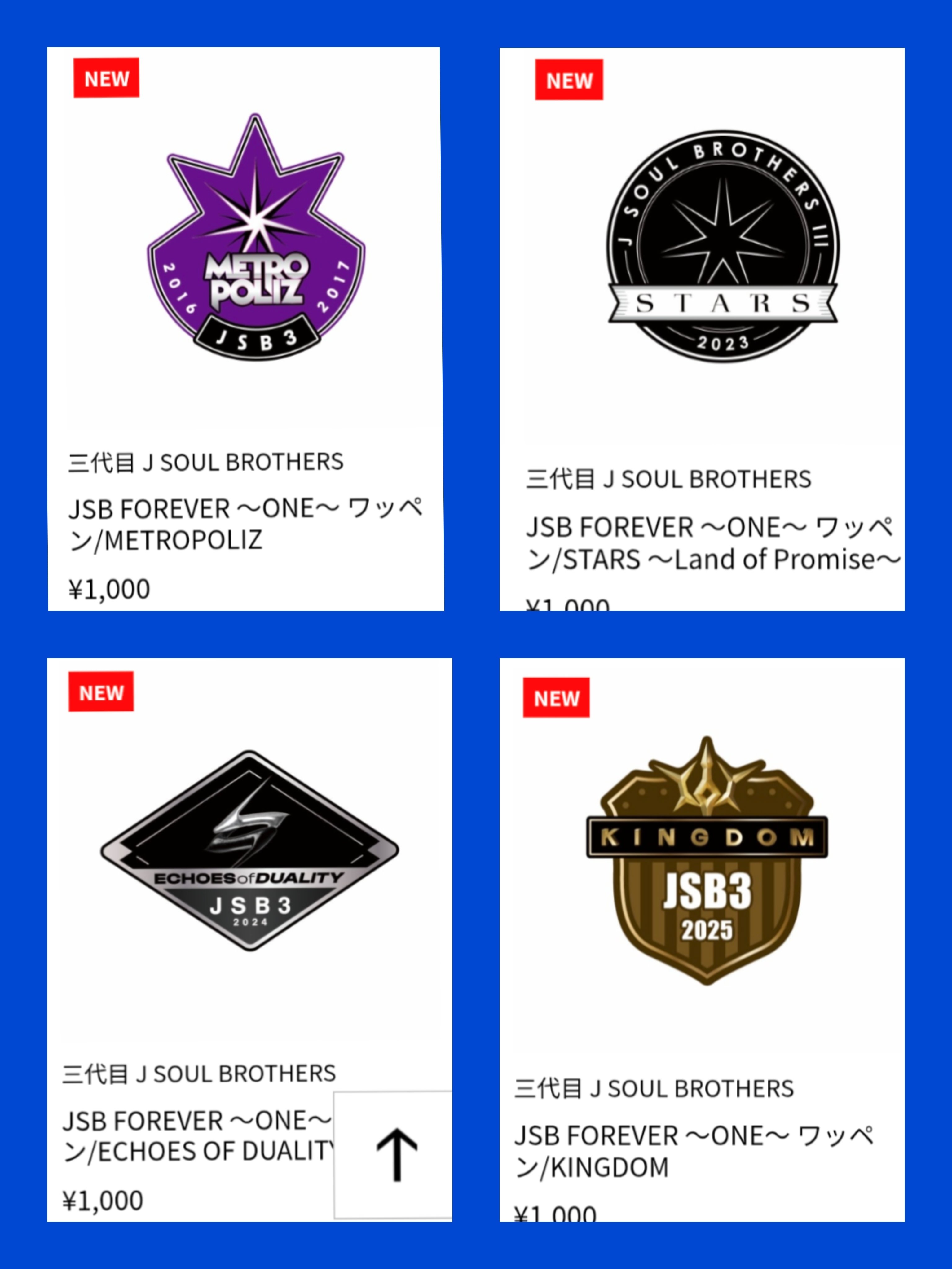 JSB FOREVER〜ONE〜ワッペン 全12種類 三代目 J SOUL BROTHERS