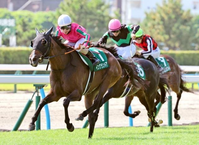 JRA小倉　オグリワン 第1707回 夏の小倉の開幕週を彩る小倉記念を分析する｜データde
