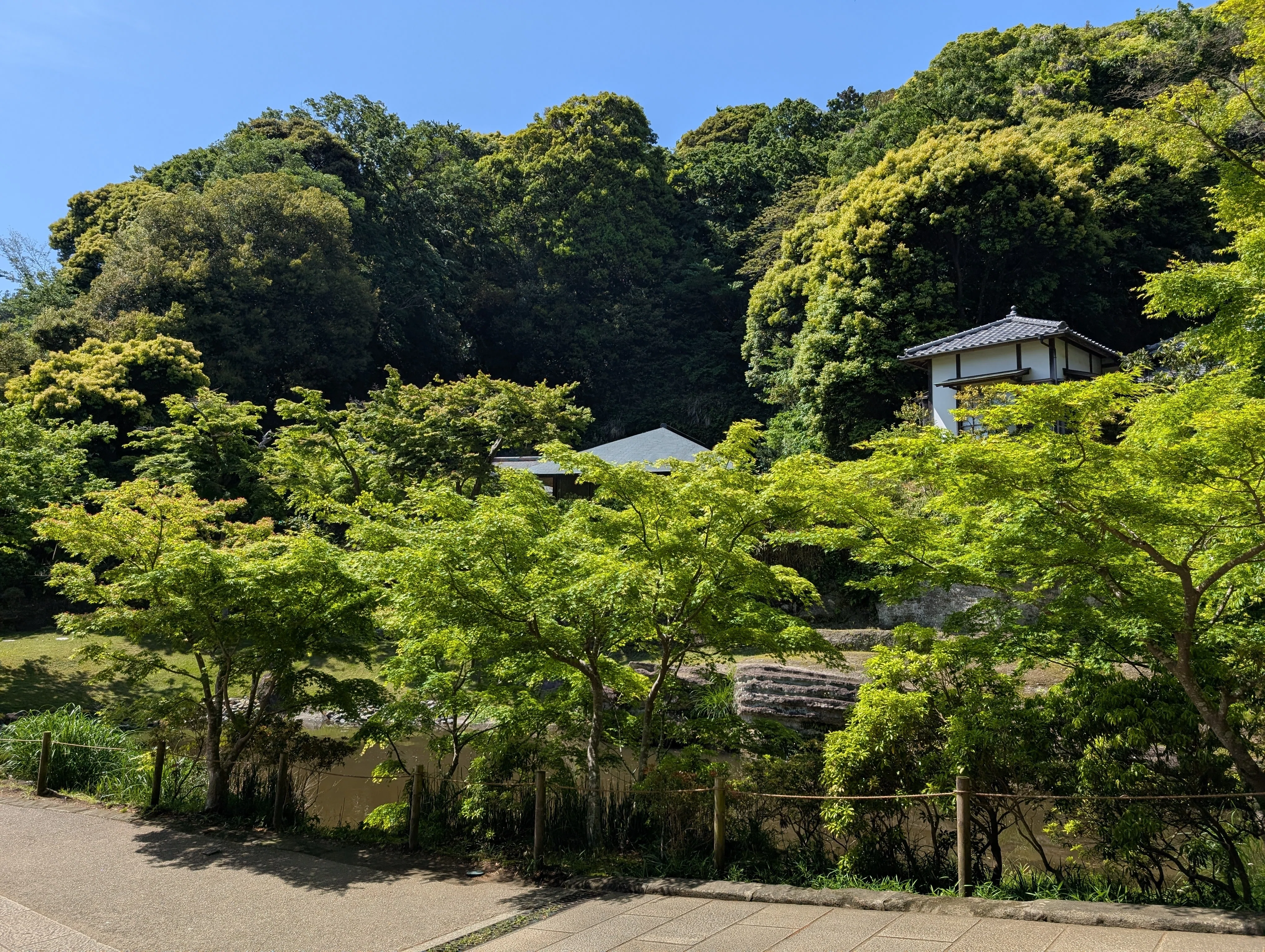 北鎌倉の円覚寺で、布薩の会に参加してきて思うこと。｜空木(うつぎ)