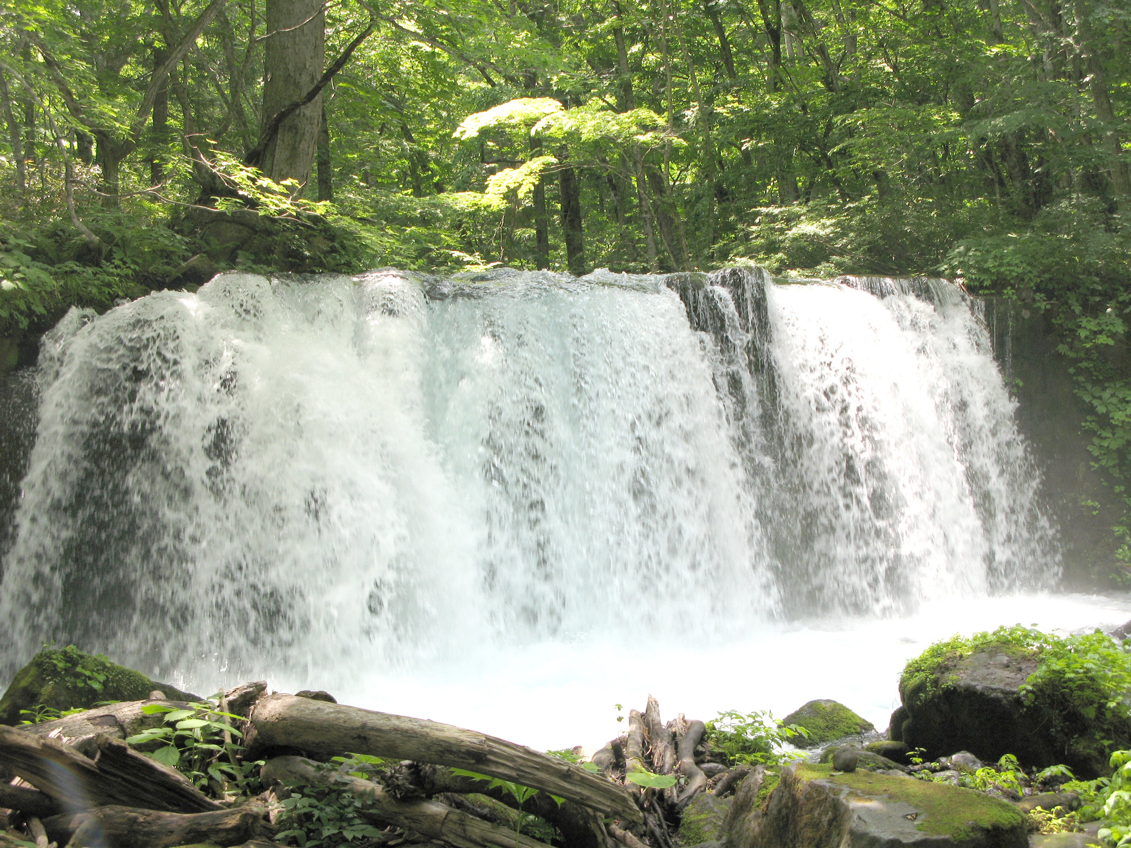 水の戯れ｜music and words