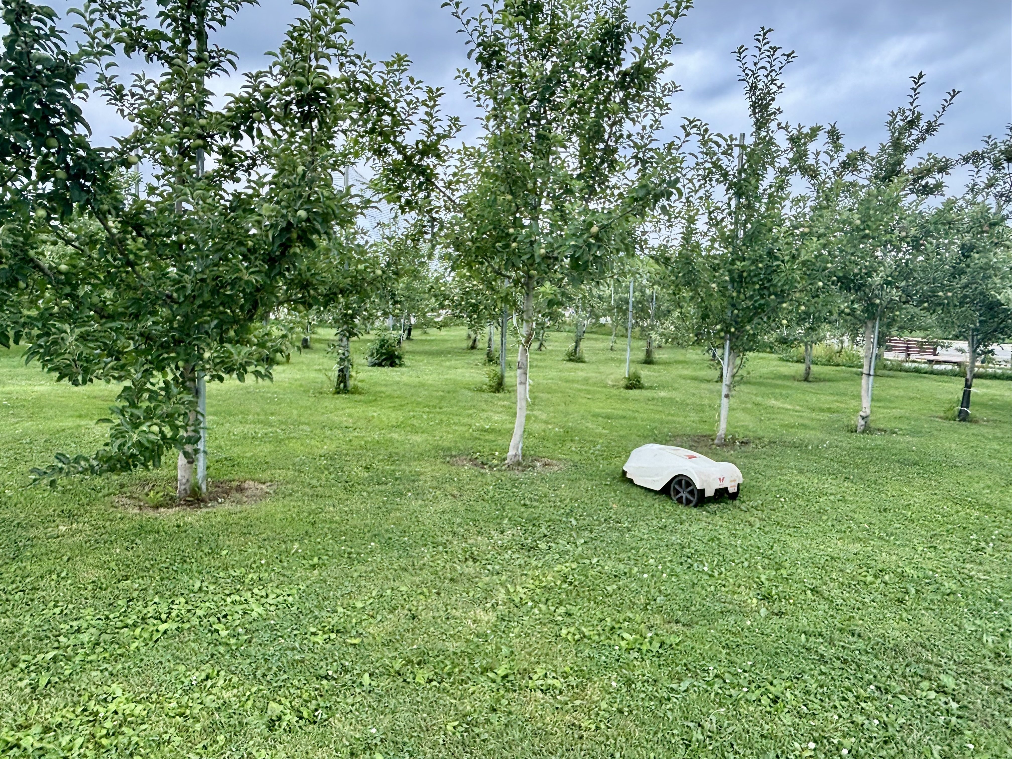 鈍行で東北一周 10 弘前市りんご公園へ🍎｜主婦の肩書きだけあるる