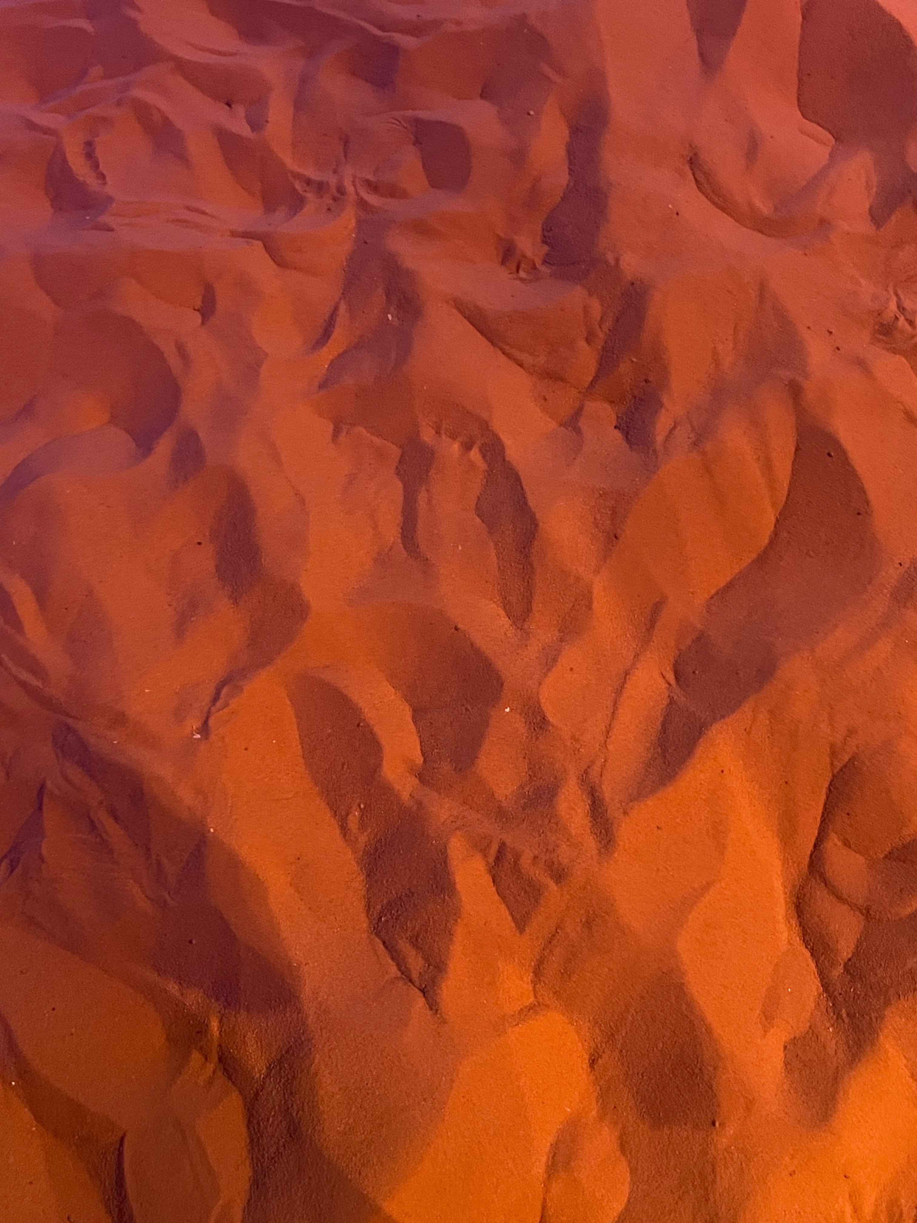 きいろいとり　ヨルダンパビリオン　砂漠の砂 大阪・関西万博 手作りのヨルダンパビリオンで後からじわっとくる発見