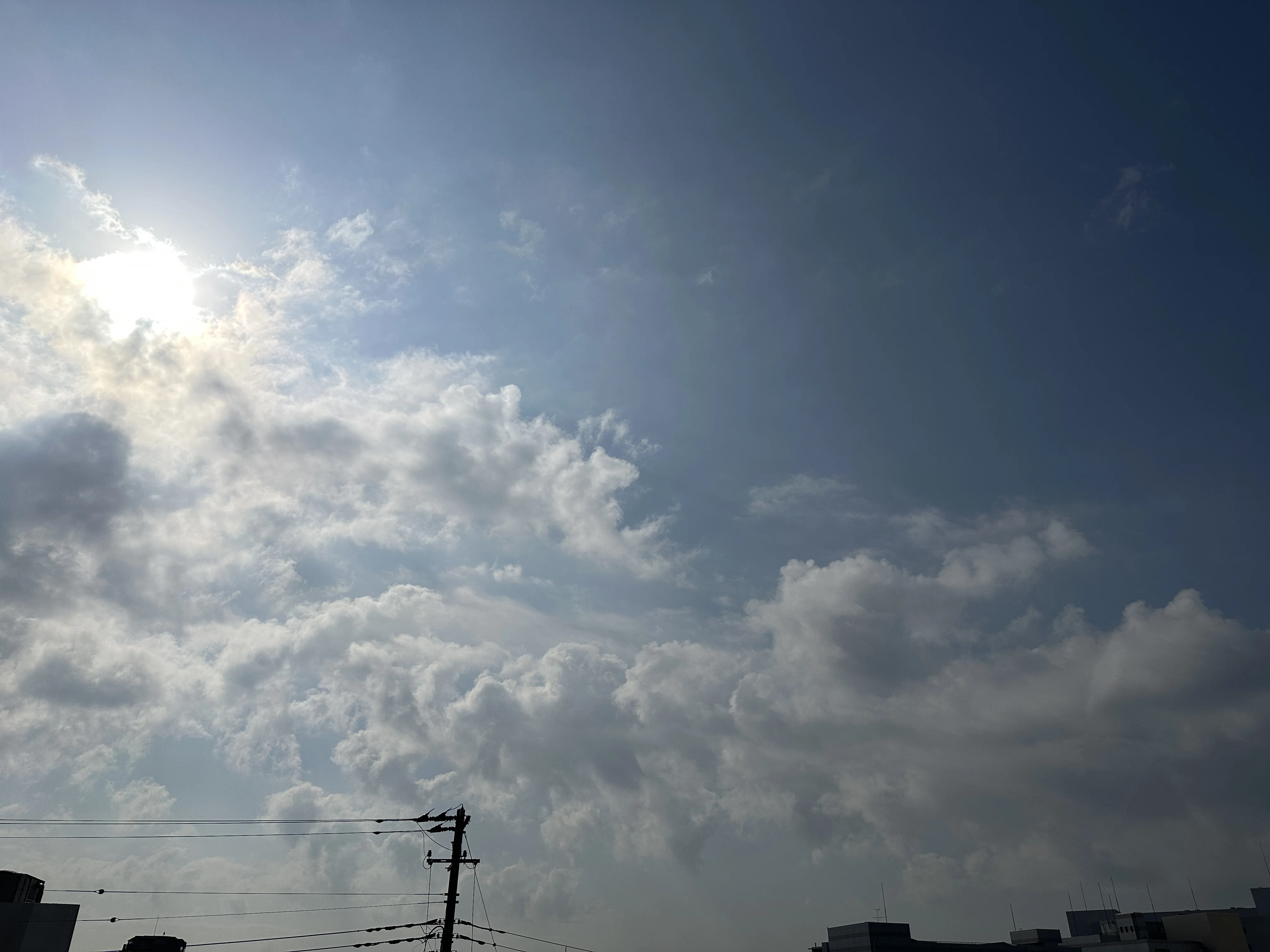 空コレクション（2025年5月）｜Saki