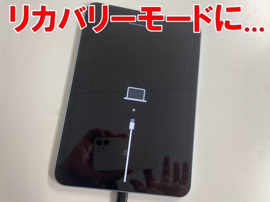 縁閃間専用 iPad mini 6 256GB WiFiモデル 電源ボタン破損 縁閃間専用 iPad mini 6 256GB WiFiモデル 電源ボタン破損 iPad