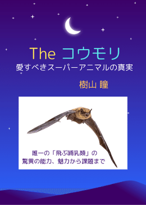 【月下に蝙蝠図】峻堂 2567 コウモリ　掛け軸　肉筆 3.jpg