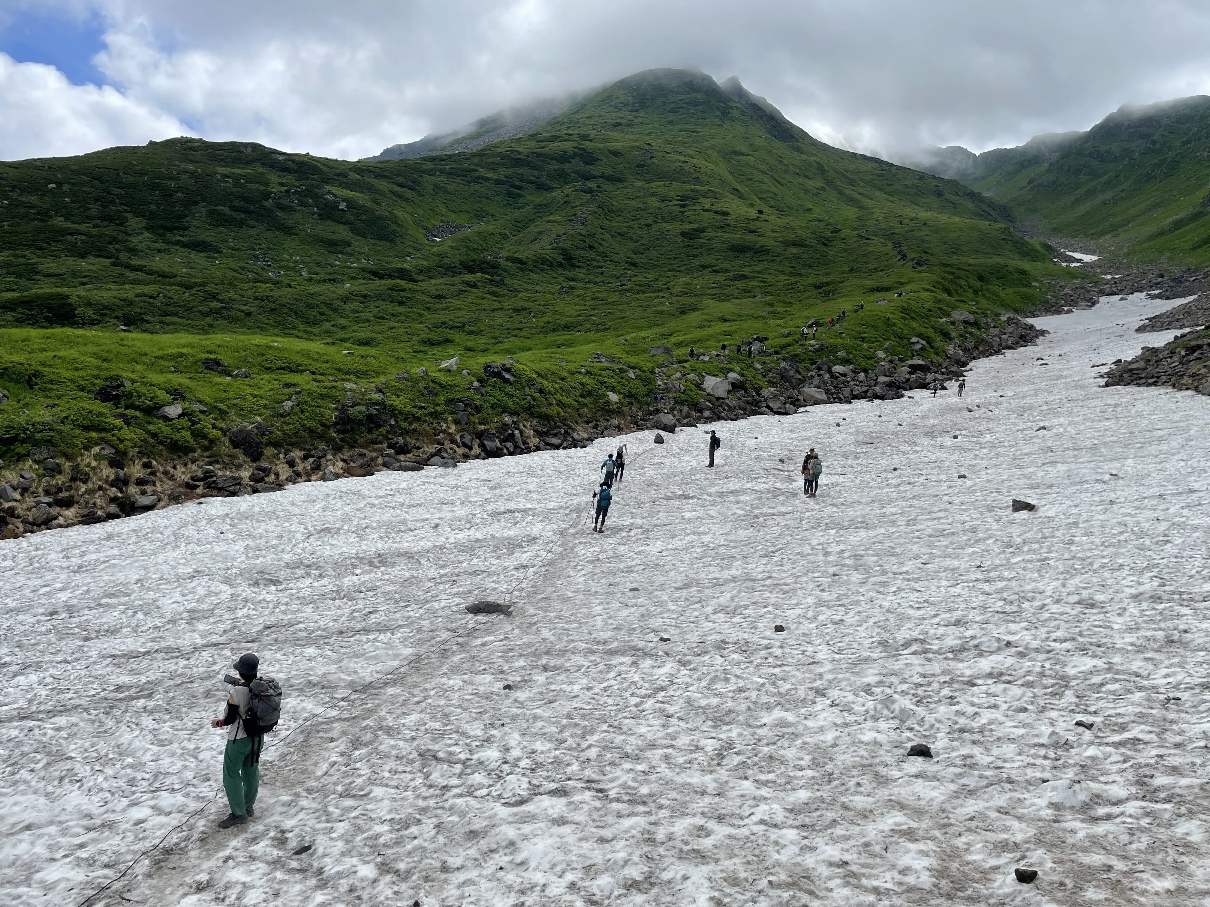 高山植物満開、鳥海山に行ってきた｜ニシノトシコ