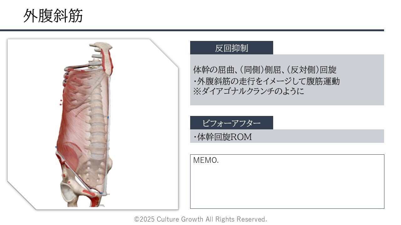 体幹の運動制限におけるマニュアルアプローチ｜木立 拓也