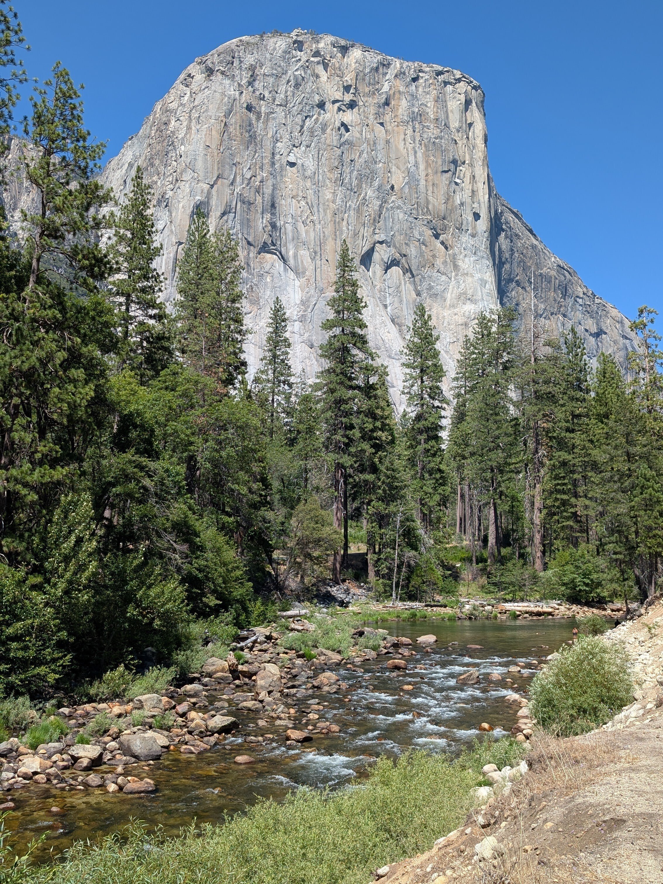 念願のヨセミテ国立公園で氷河が作った美しい谷を見る ヨセミテ