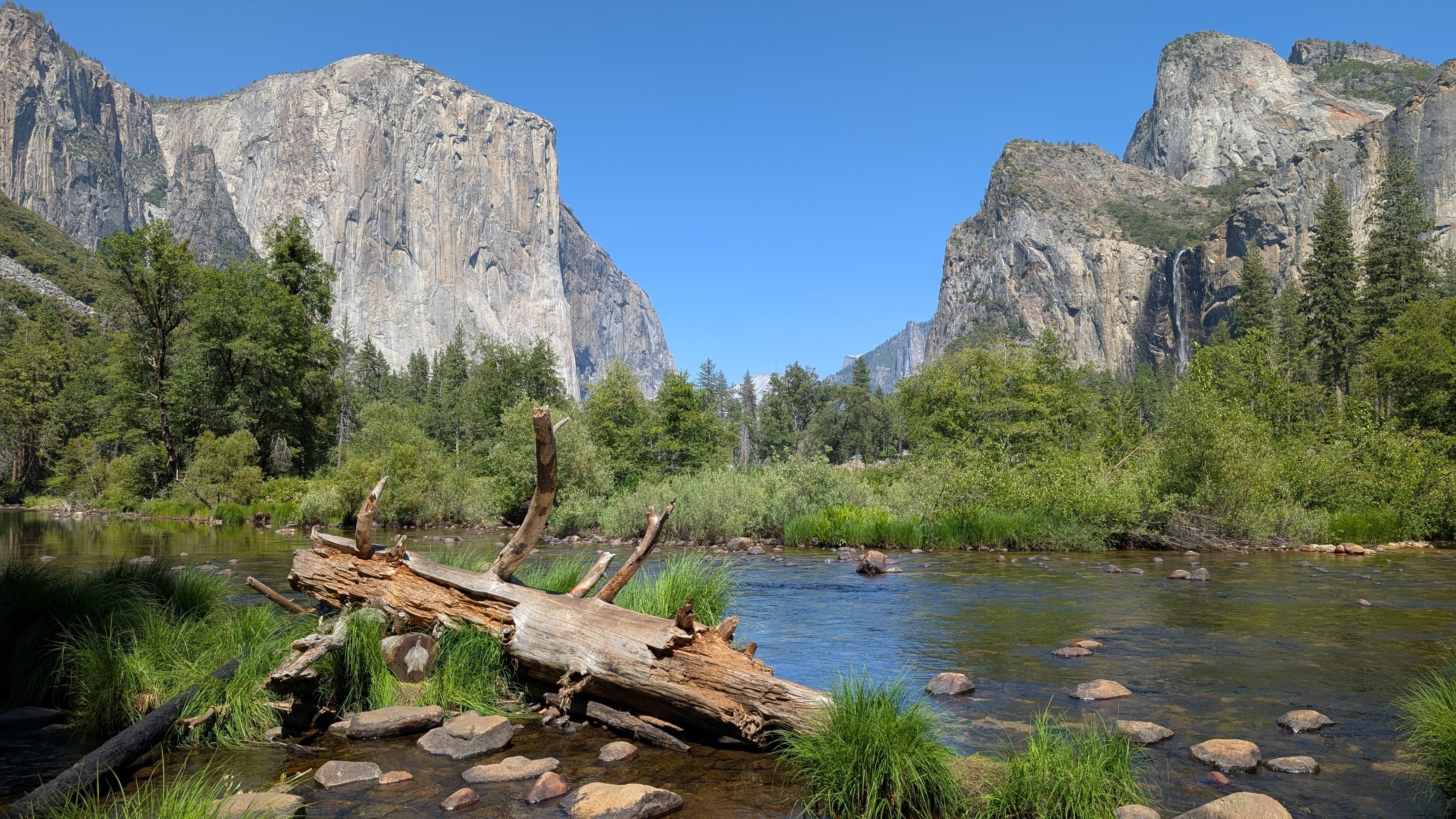 念願のヨセミテ国立公園で氷河が作った美しい谷を見る ヨセミテ