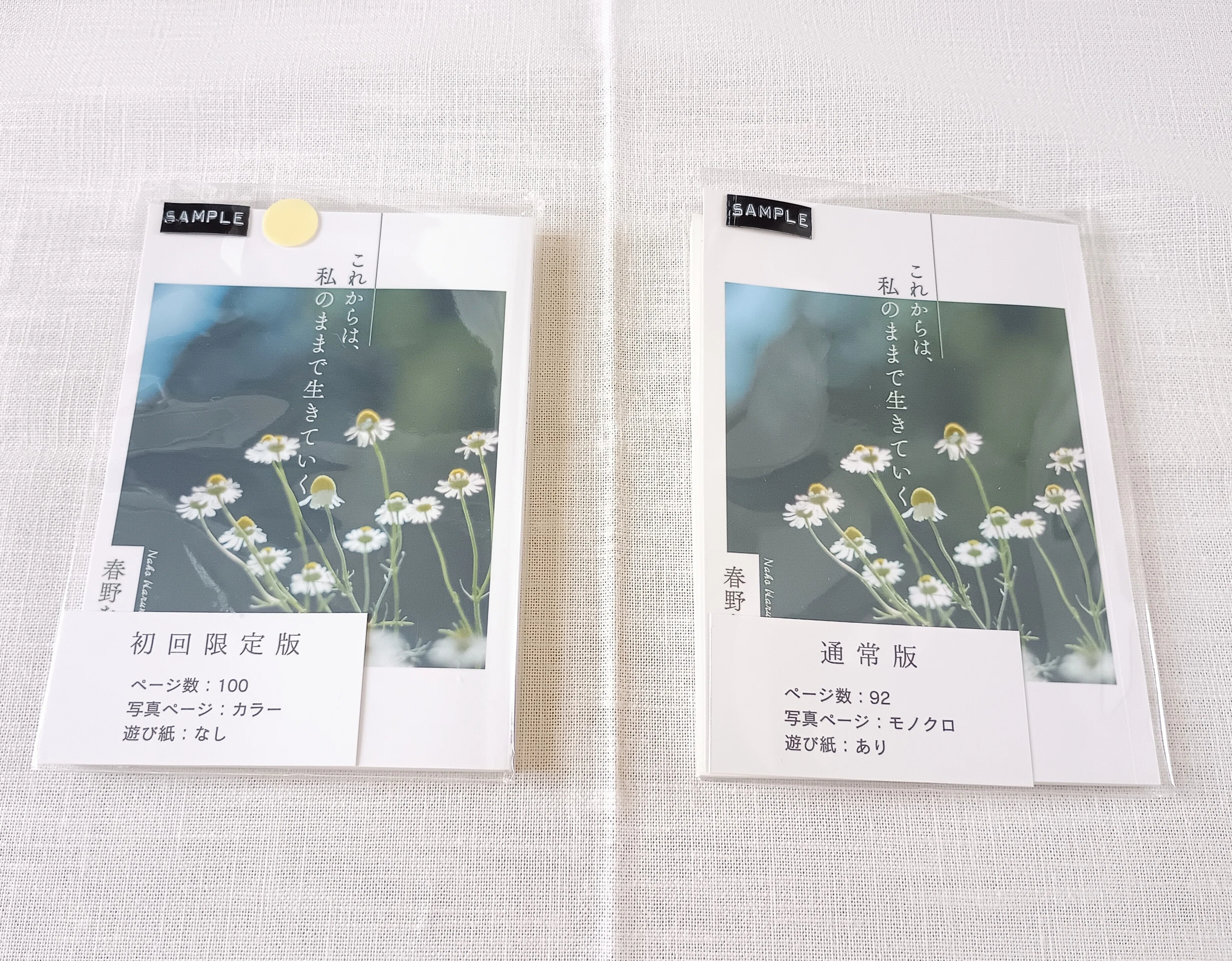 初めてZINEフェスに出店してわかったのは「準備の大切さ」だった｜春野