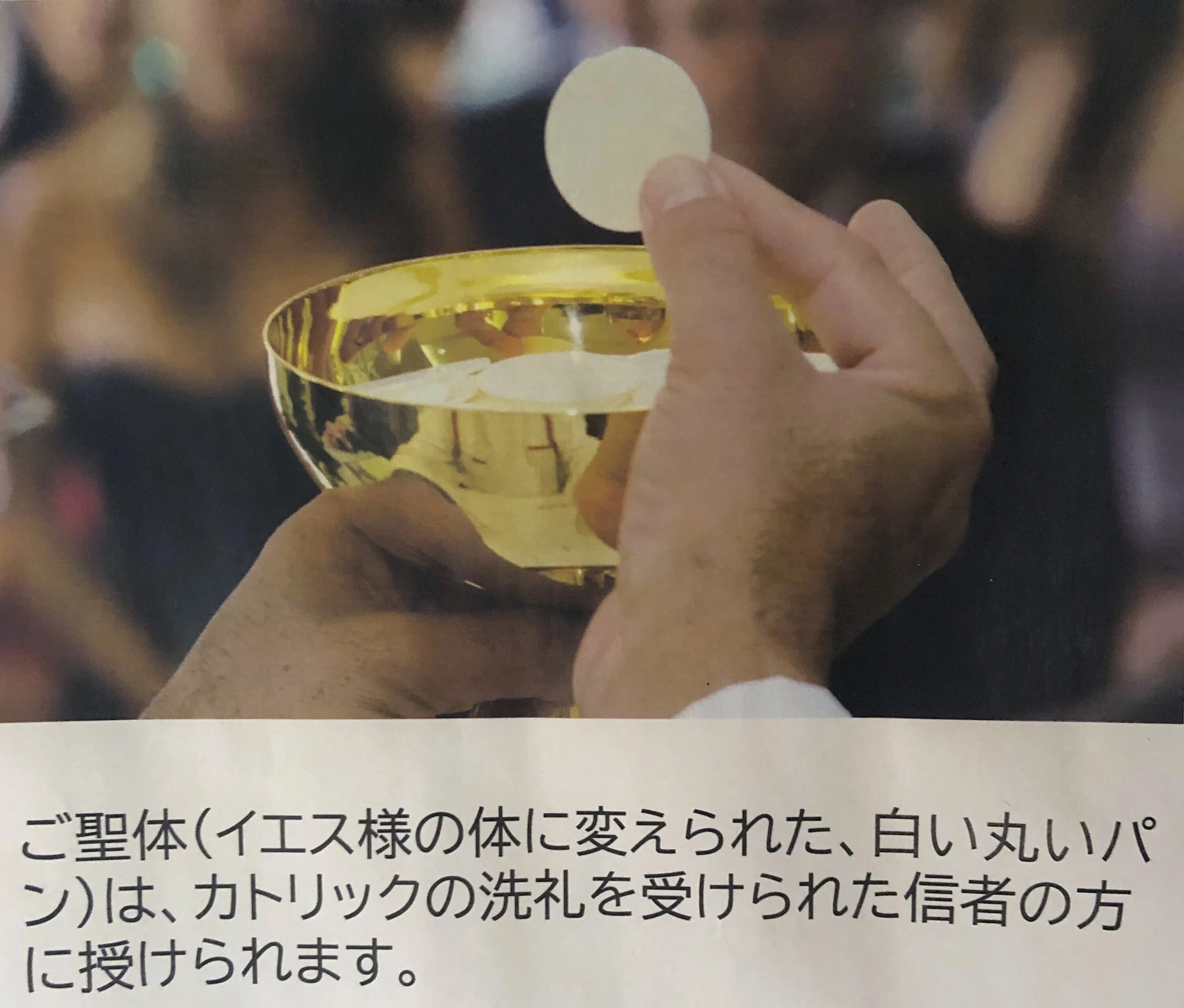 第1回 終末の時代に示された「命の書」｜maria-J