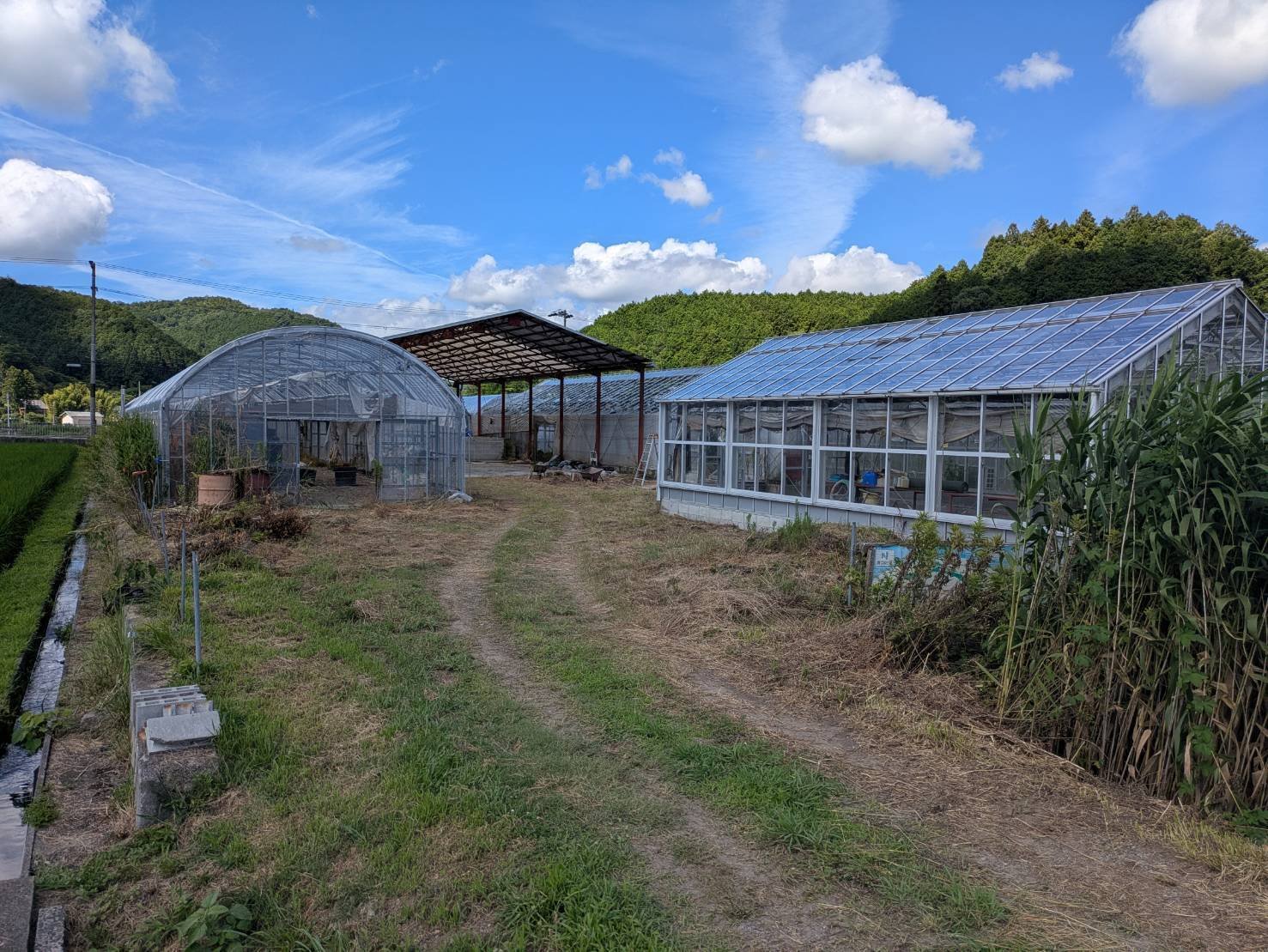 未来農園 新鶏舎建築について｜ぱー/未来農園/日本の食の不安をなくす