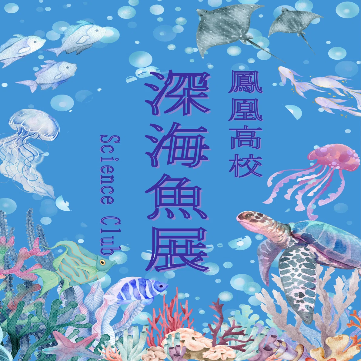 深海魚プロジェクトの取り組みハイライト（2025）｜鳳凰高校サイエンス