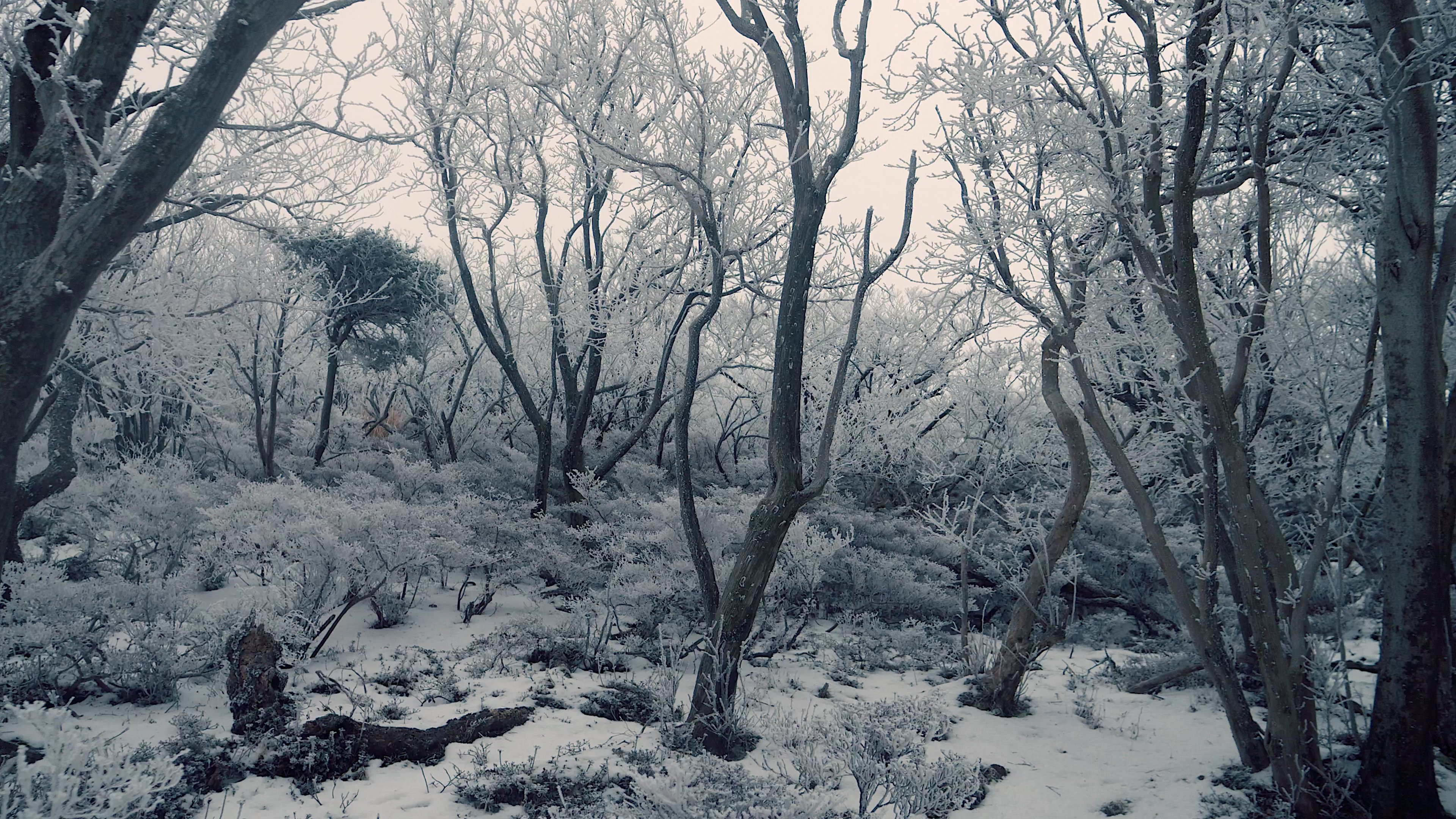 強風と濃霧と積雪の韓国岳を黙々と登る｜Hideo Takehara