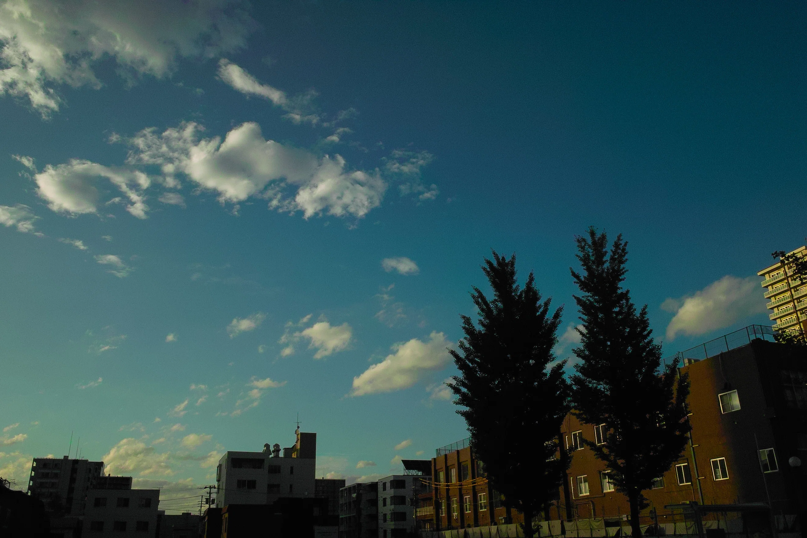 SIGMA DP1いい色です｜アラン藤島