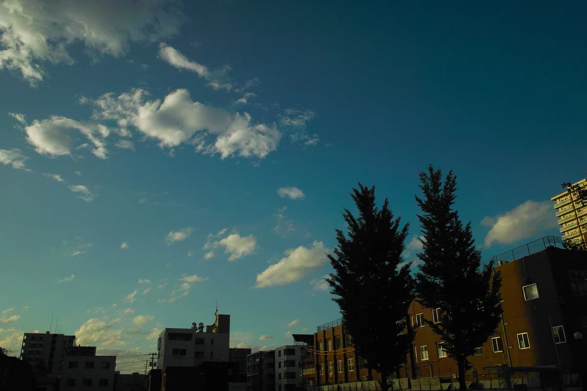 F 35 Rear Shot SIGMA DP1 has great colors|アラン藤島