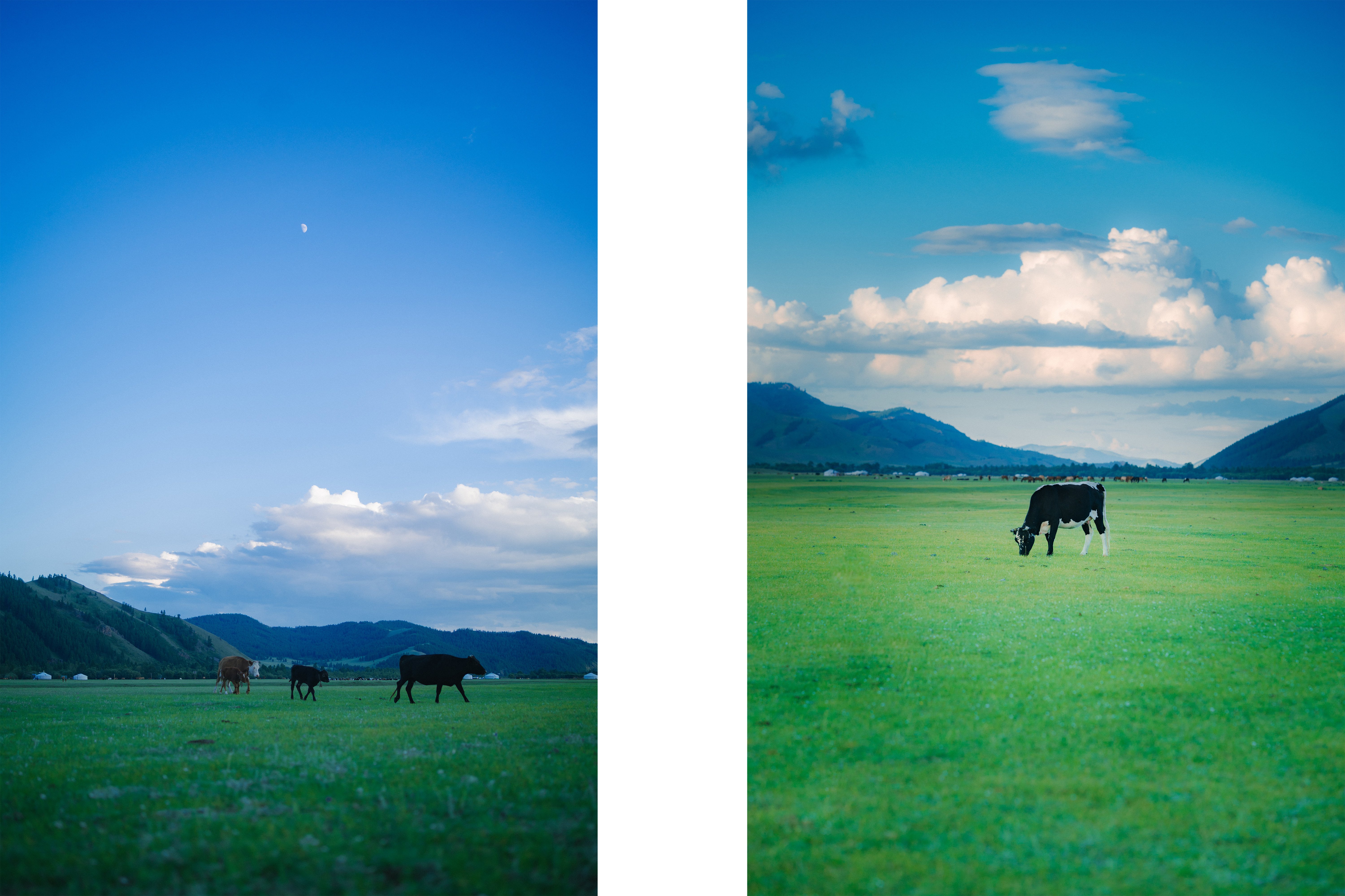 モンゴルの大草原で生活して馬の上ででんぐり返りした話。-1ヶ月の旅