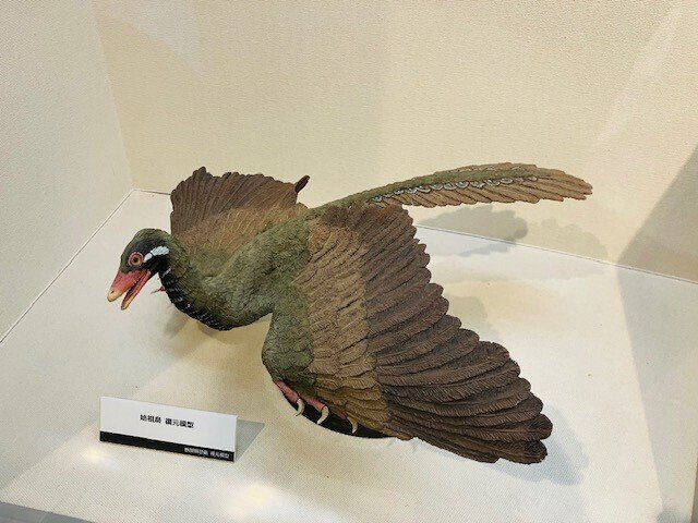 千葉手賀沼の自然を描く,日下賢二,6号油彩,手賀沼名物の白鳥の群れ,野鳥作家 ☆倉庫整理在庫一掃☆千葉手賀沼の自然を描く，日下賢二「