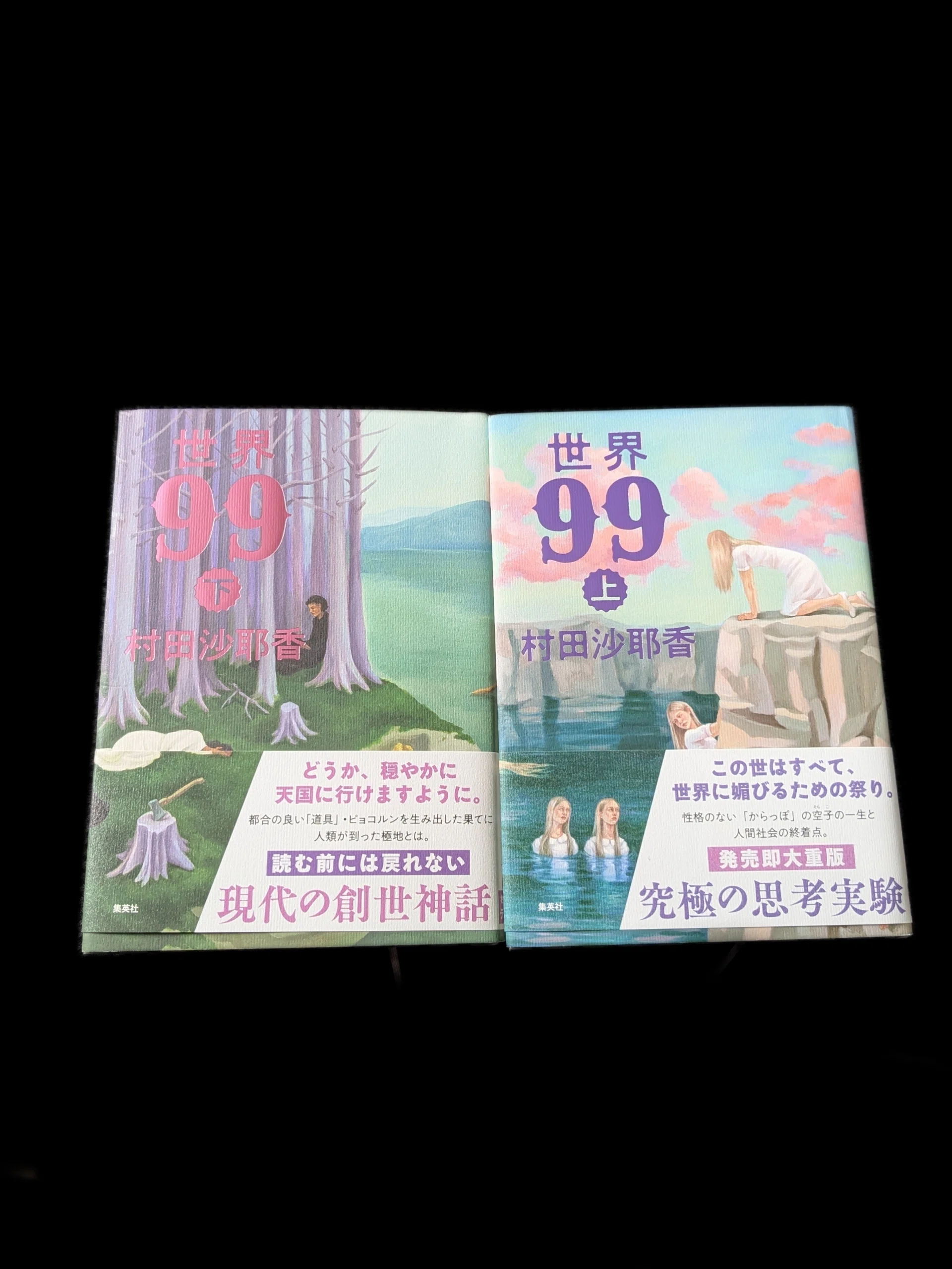 読書記録/世界99上下/村田沙耶香｜半田 新