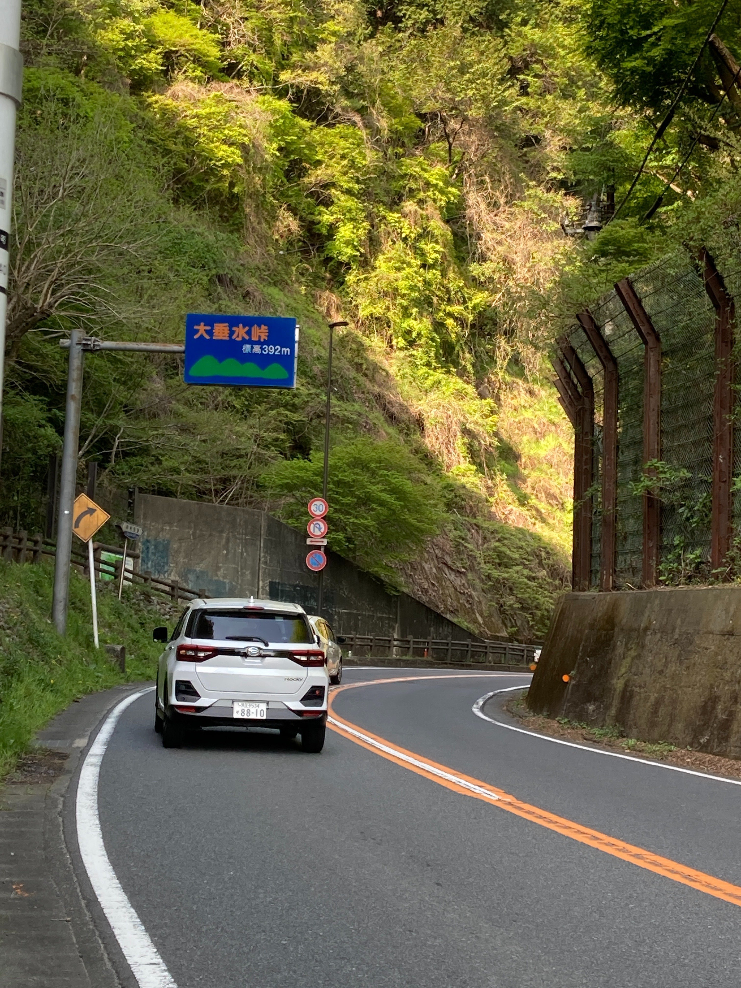 ♥︎◇とろけるボケ感♪ TAMRON 28-105mm F2.8 NIKON ♥︎◇とろけるボケ感♪ TAMRON 28-105mm F2.8 NIKON