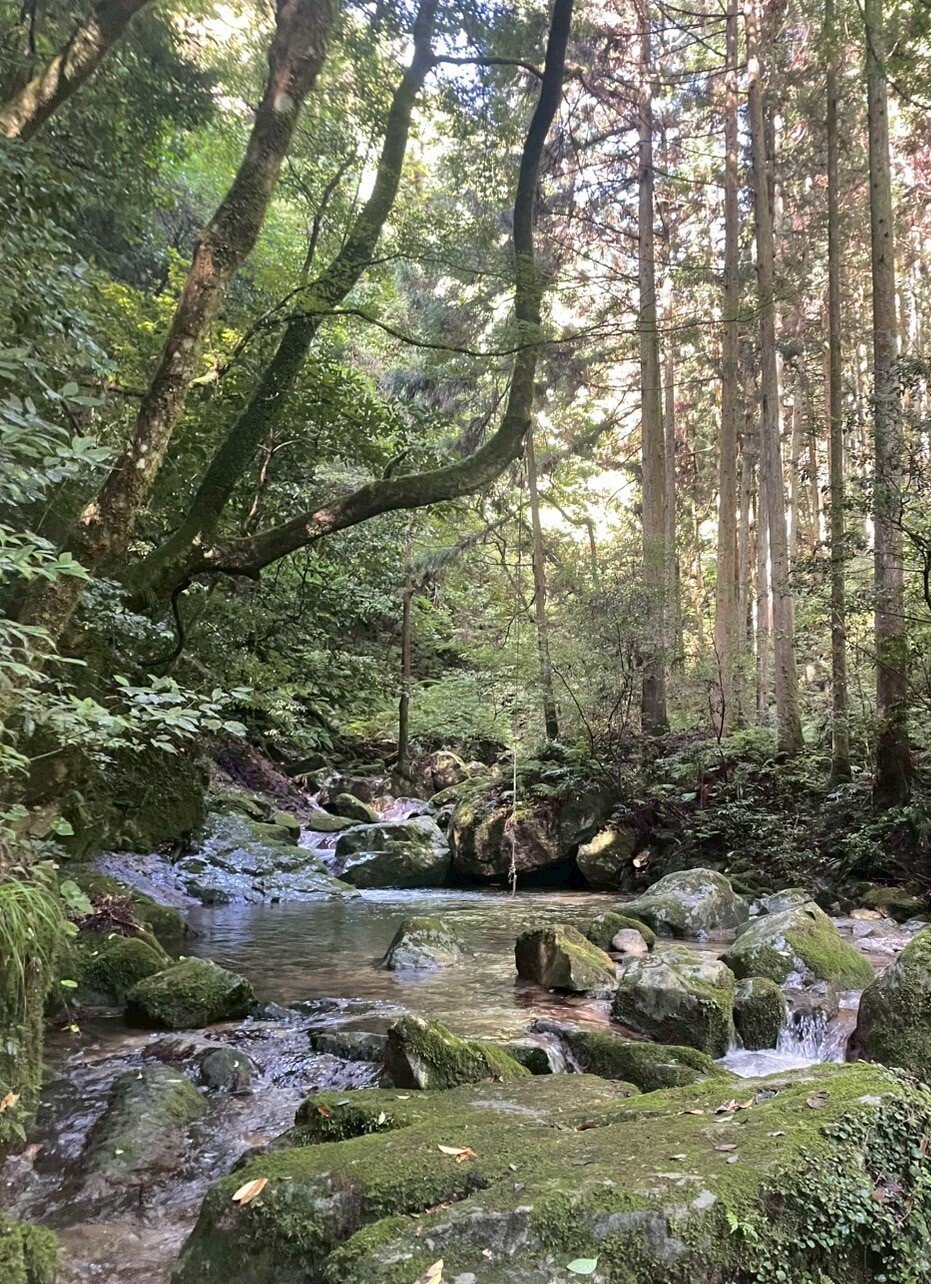 金山渓谷あ 金山渓谷】アクセス・営業時間・料金情報 - じゃらんnet