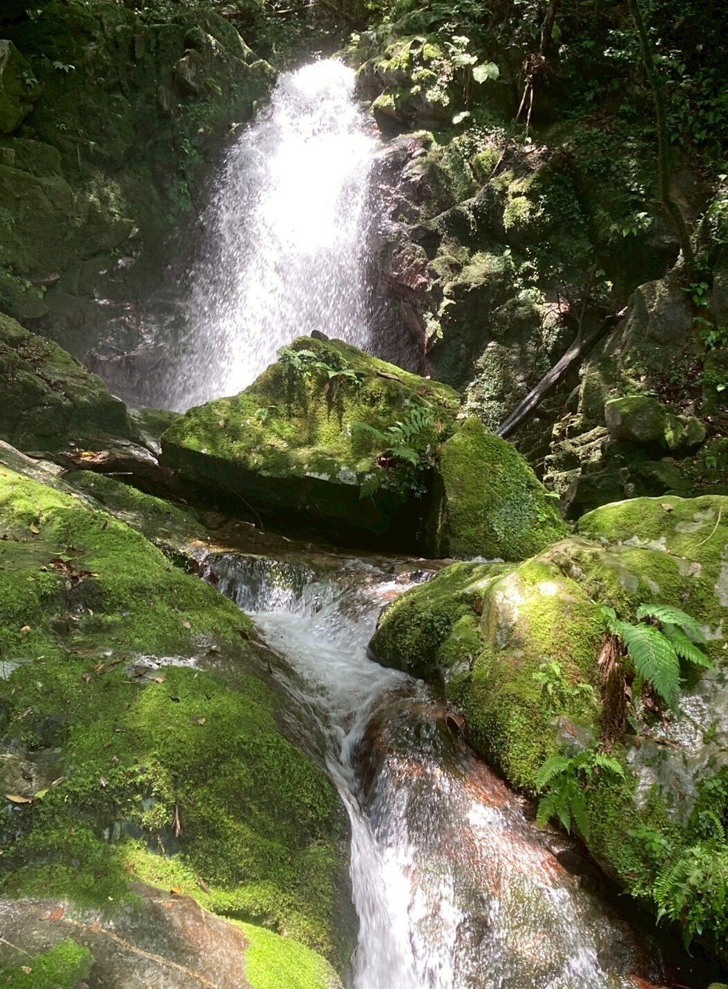 金山渓谷あ 金山渓谷