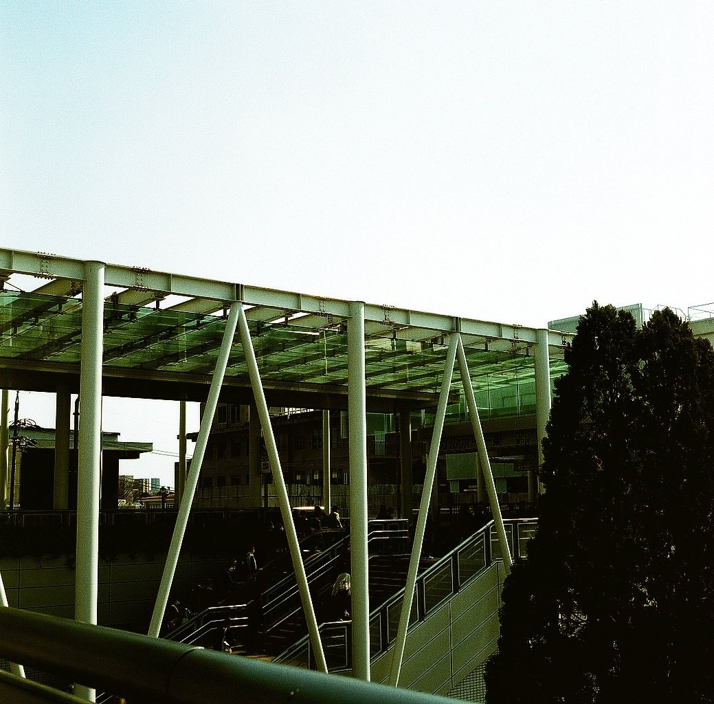 期限切れ　KODAK SUPRA ENDURA 8X10 N面　2010年頃 8x10 Expired Kodak Supra Endura (25 sheets) – Negative