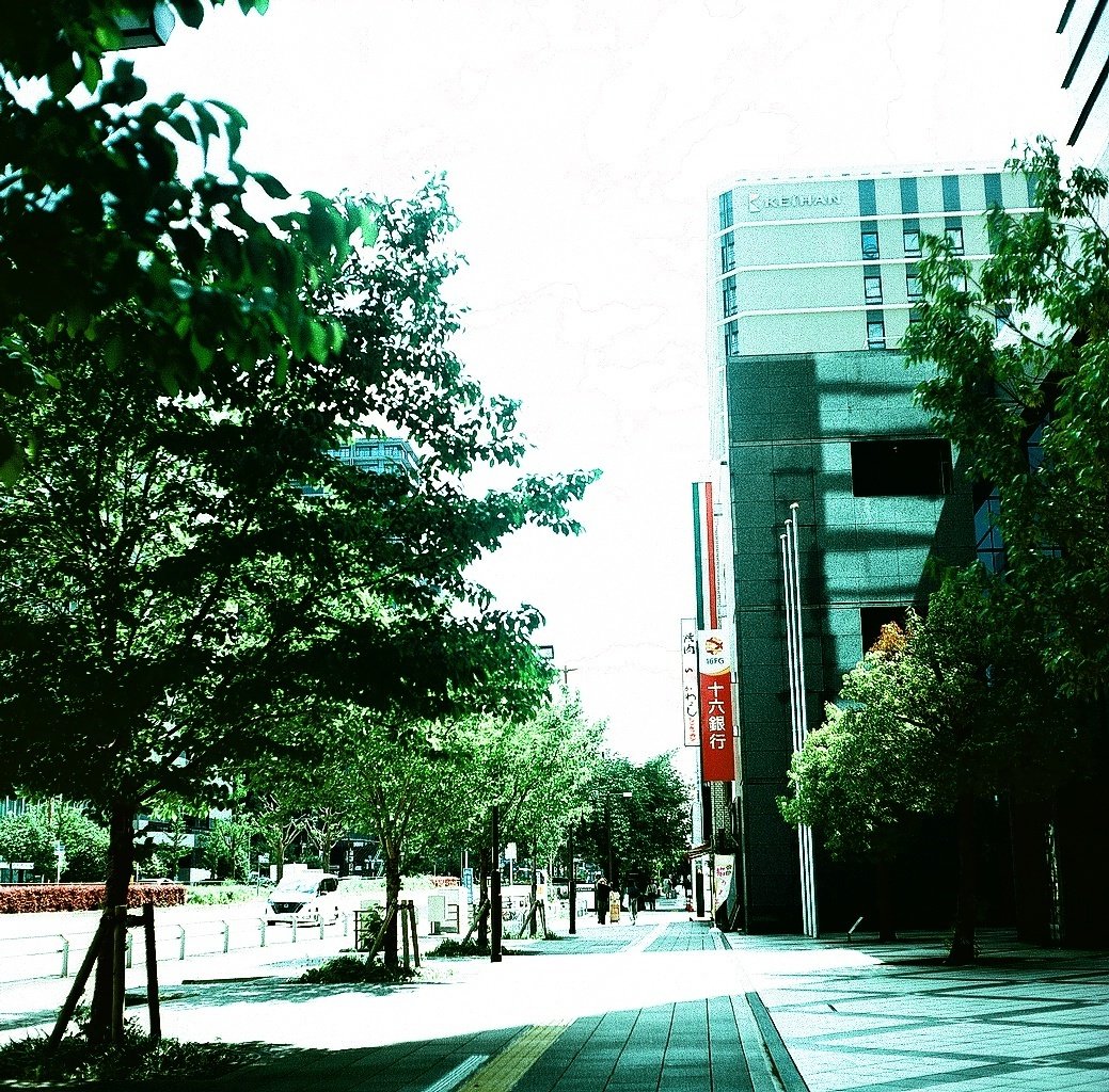 期限切れ　KODAK SUPRA ENDURA 8X10 N面　2010年頃 8x10 Expired Kodak Supra Endura (25 sheets) – Negative