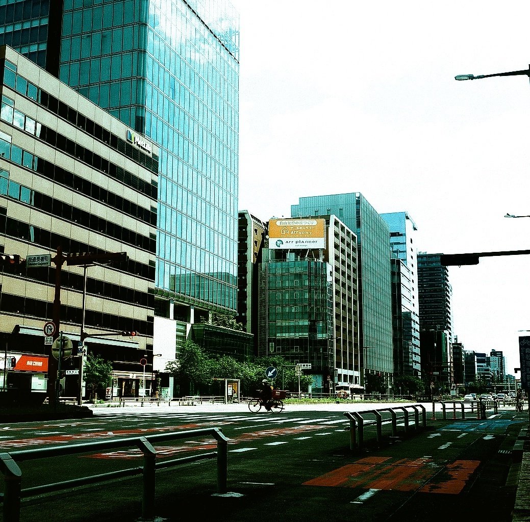 期限切れ　KODAK SUPRA ENDURA 8X10 N面　2010年頃 8x10 Expired Kodak Supra Endura (25 sheets) – Negative