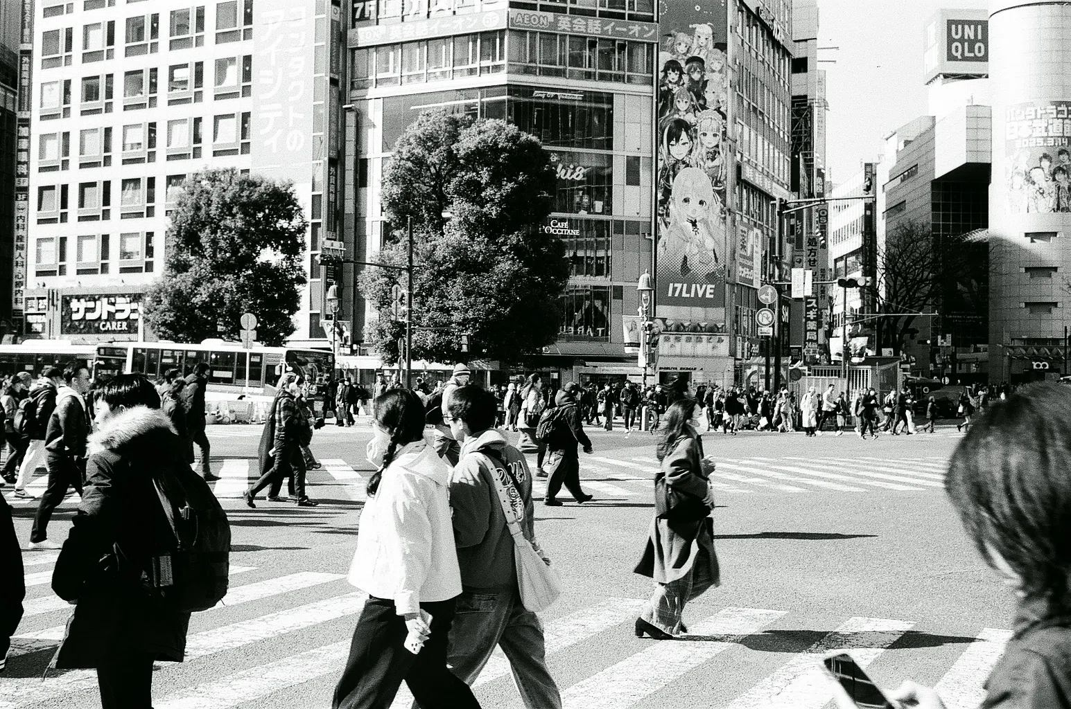 vol.433 Kodak400TXで渋谷、新宿、地元、すすきのという4つの街を撮っ