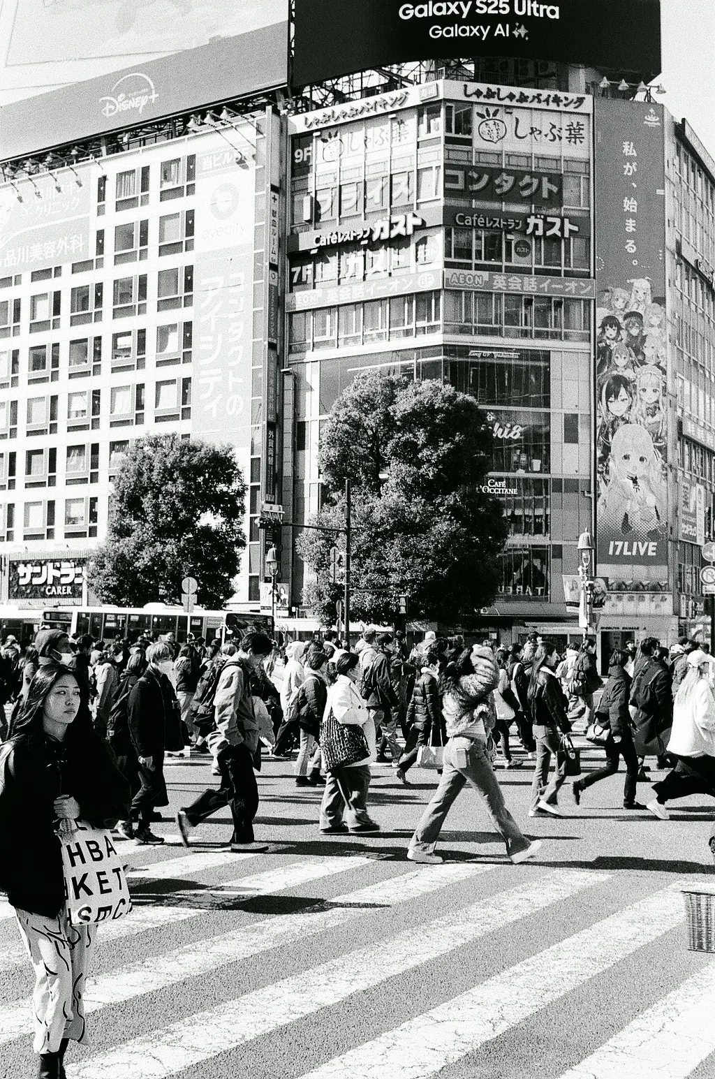 vol.433 Kodak400TXで渋谷、新宿、地元、すすきのという4つの街を撮っ
