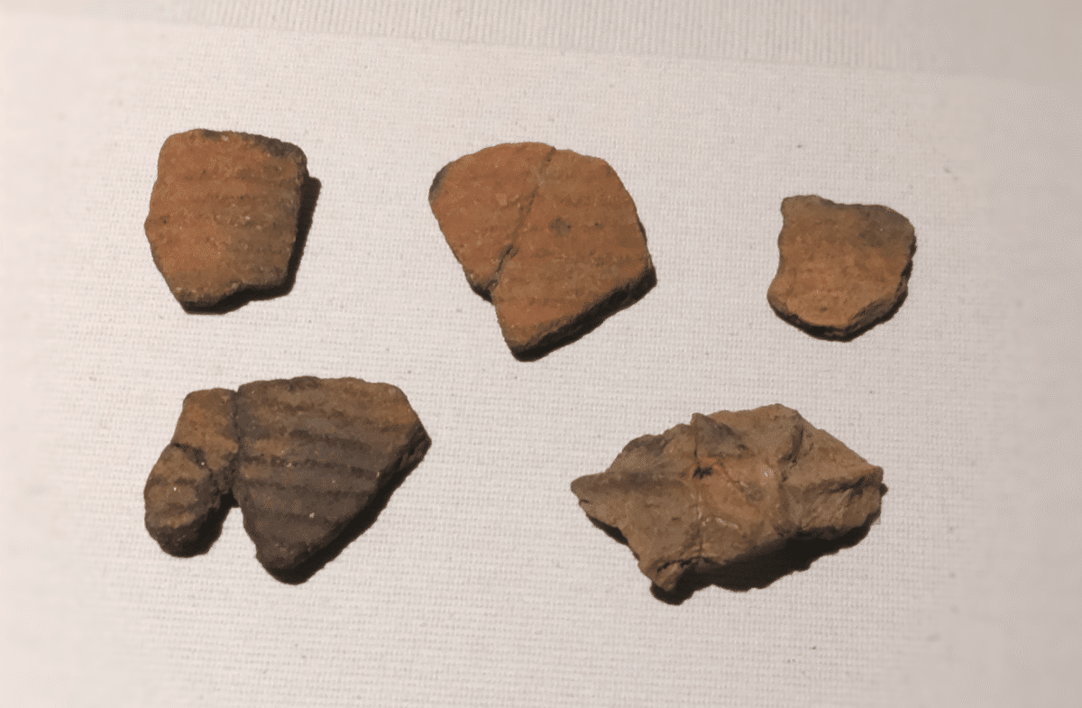 自由自在に10000年｜のんてり