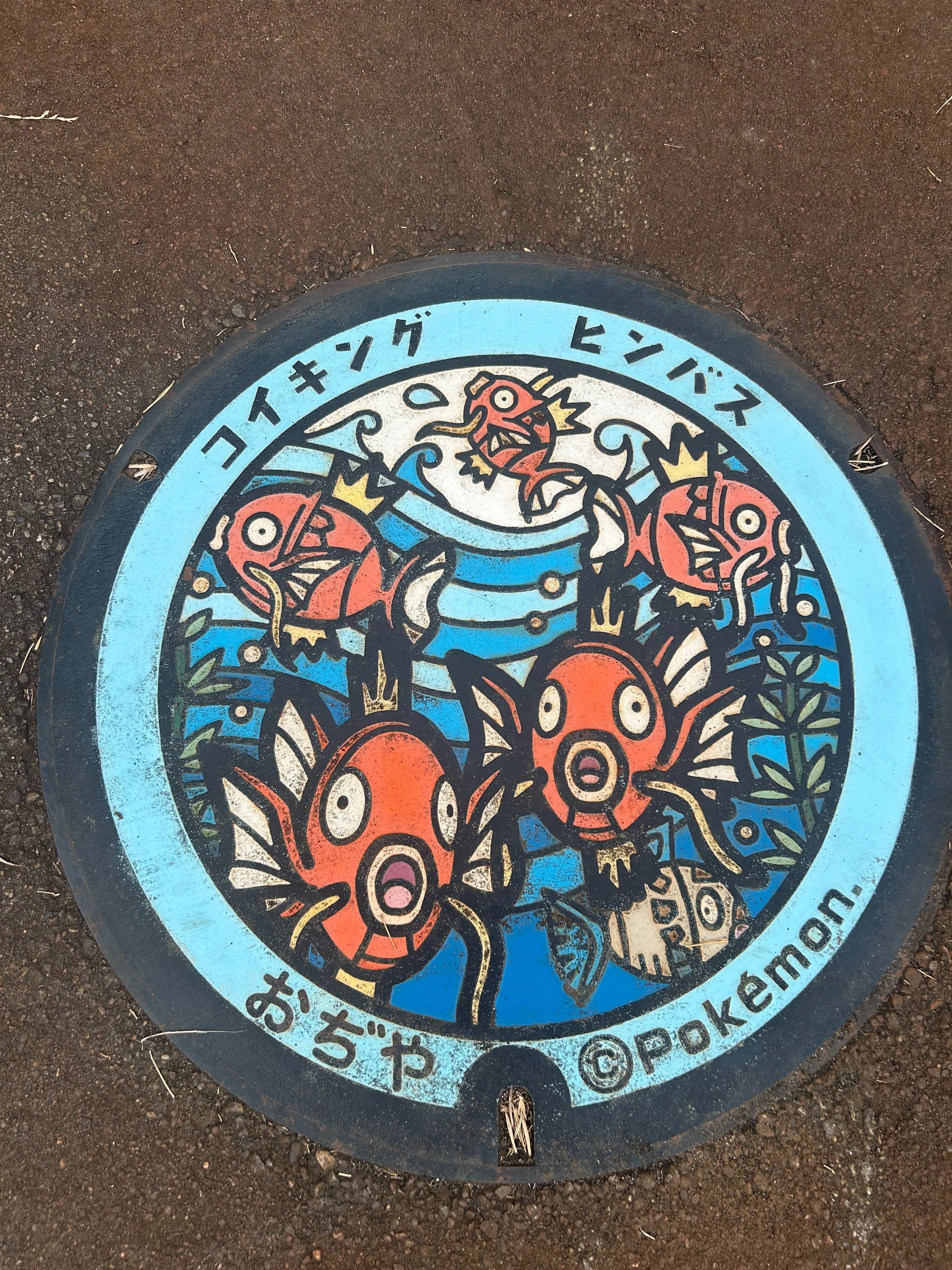 ポケ蓋】コイキングだ。新潟県小千谷市（おぢやし）｜アラサーぽの