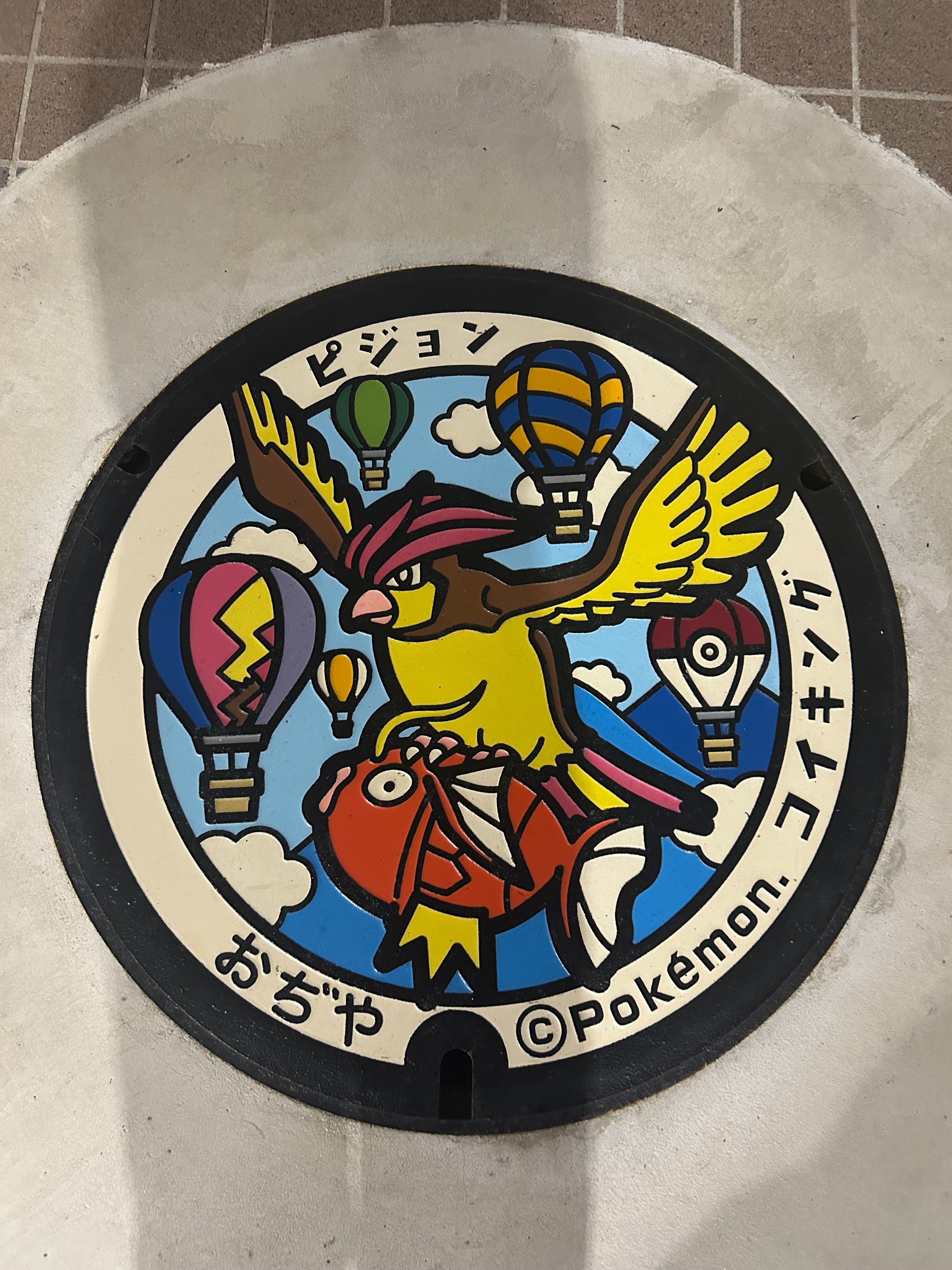 ポケ蓋】コイキングだ。新潟県小千谷市（おぢやし）｜ほのぼの、ぽの