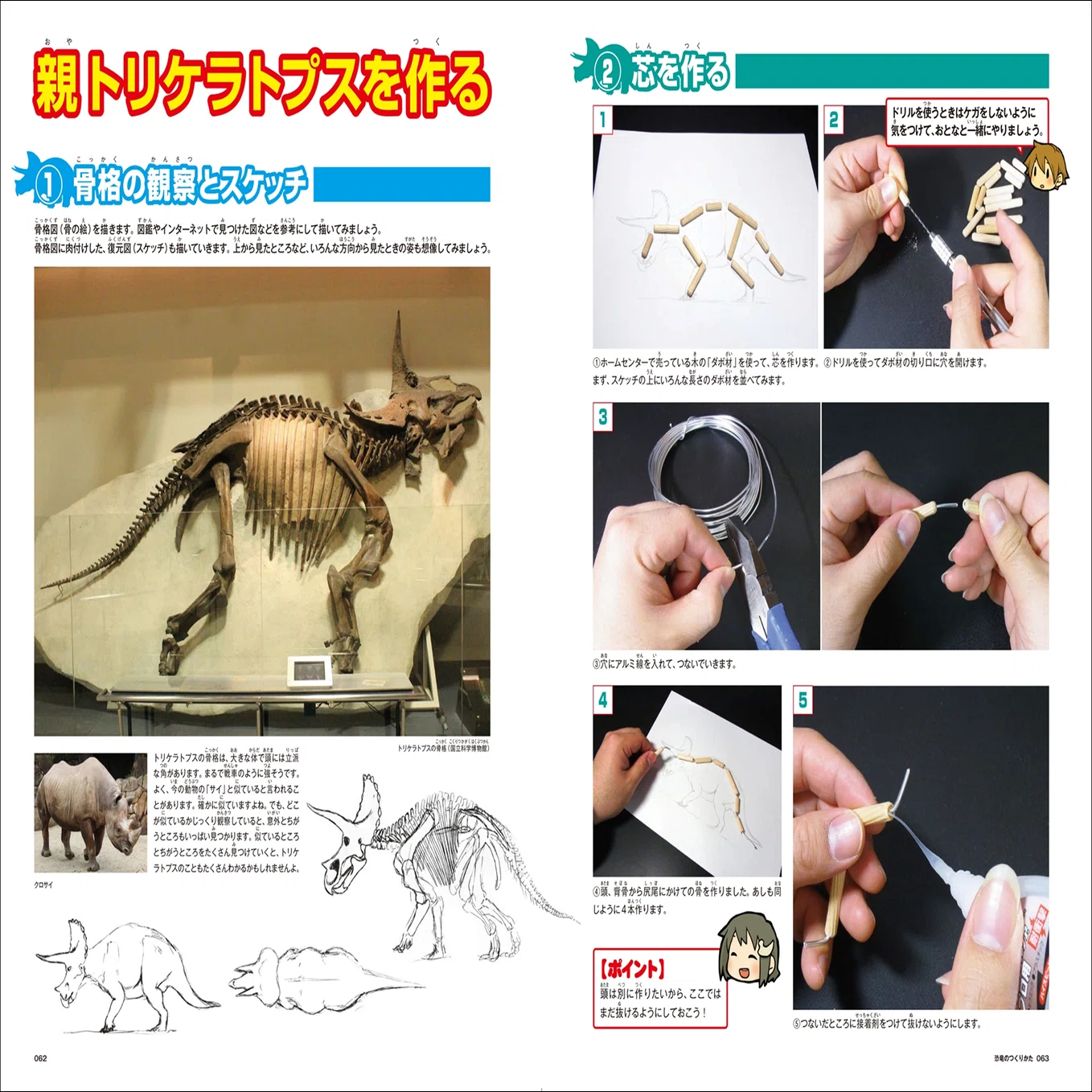 実際の爬虫類の模型を作ります 【公式通販】