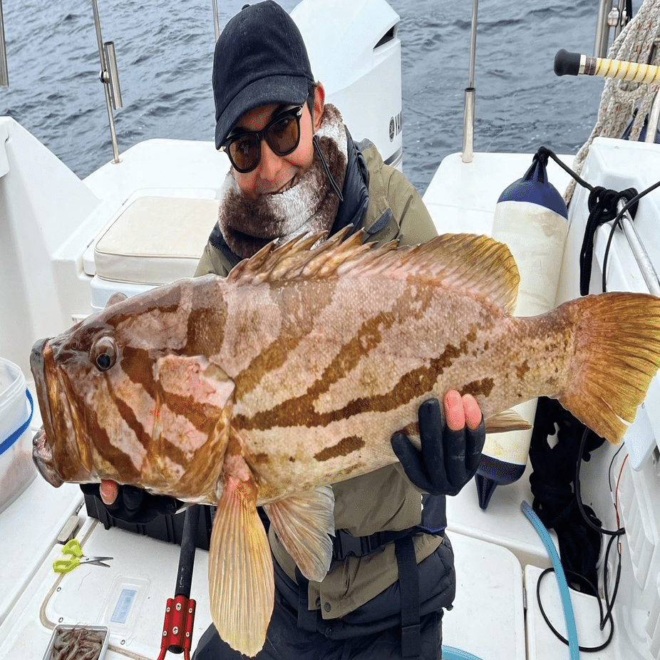 漁師 日本の漁業が直面する課題とその解決策 - 活穴子仕入れ専門店 対馬水産